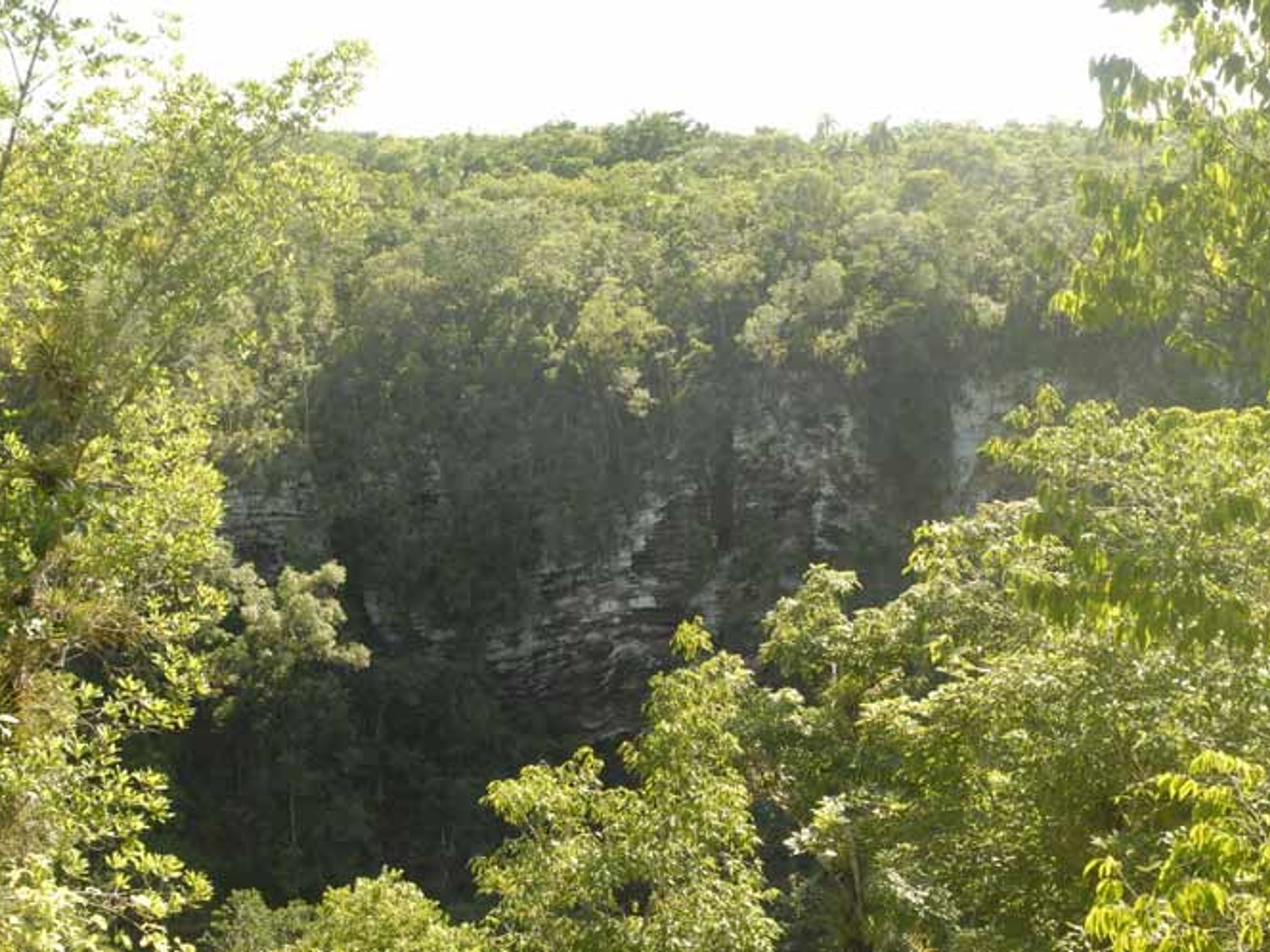 Excursão "OBSERVAÇÃO DE AVES NA RESERVA ECOLÓGICA LIMONES - TUABAQUEY, SIERRA DE CUBITAS". Reserva Ecológica Limones-Tuabaquey, Sierra de Cubitas, Camagüey, Cuba.