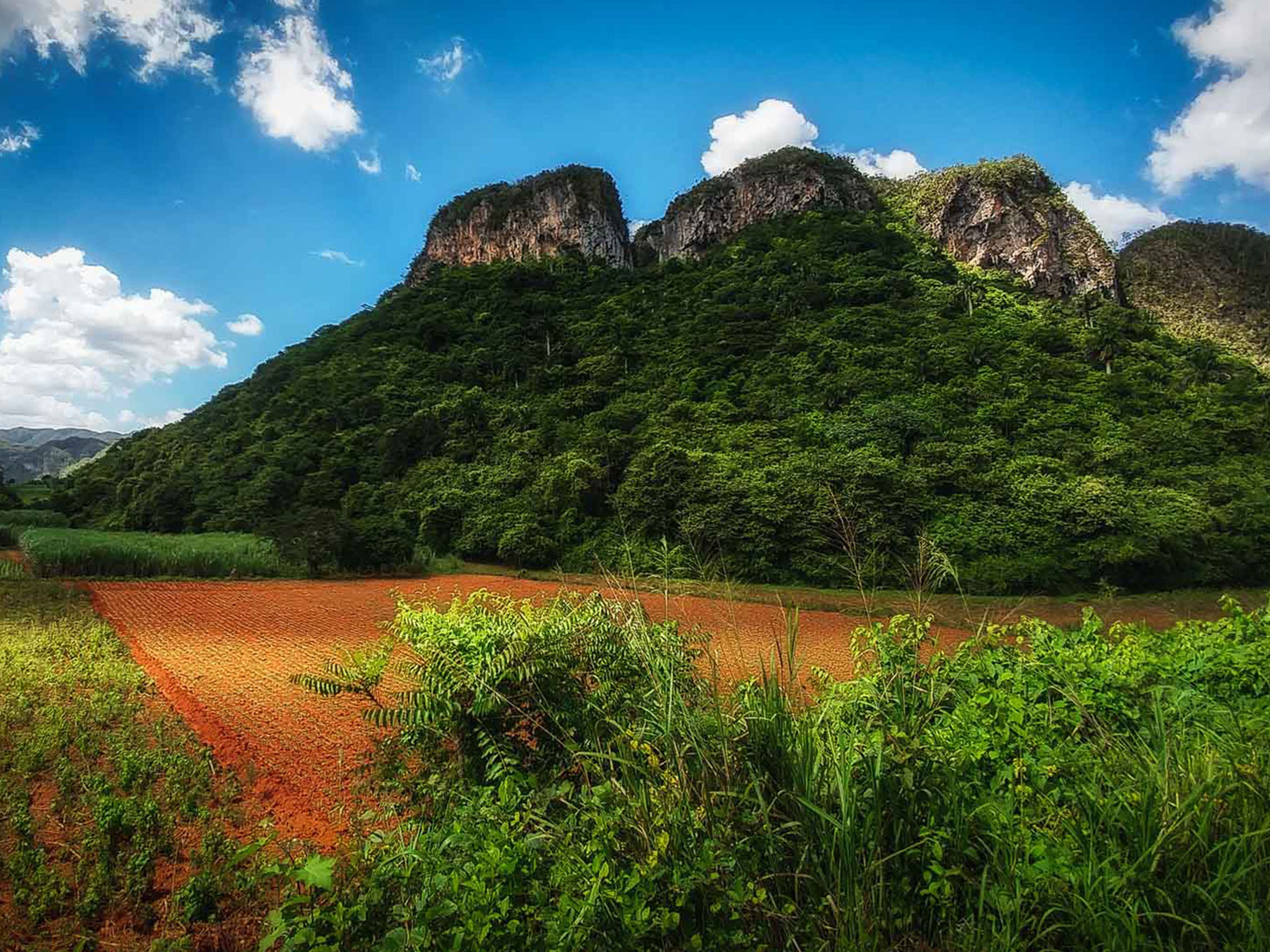 Tour "Servizio VIP: Avventura di 4 giorni a Viñales". Viñales valley panoramic view, Pinar del Río, "VIP Service: Adventure of 4 days in Viñales" Tour