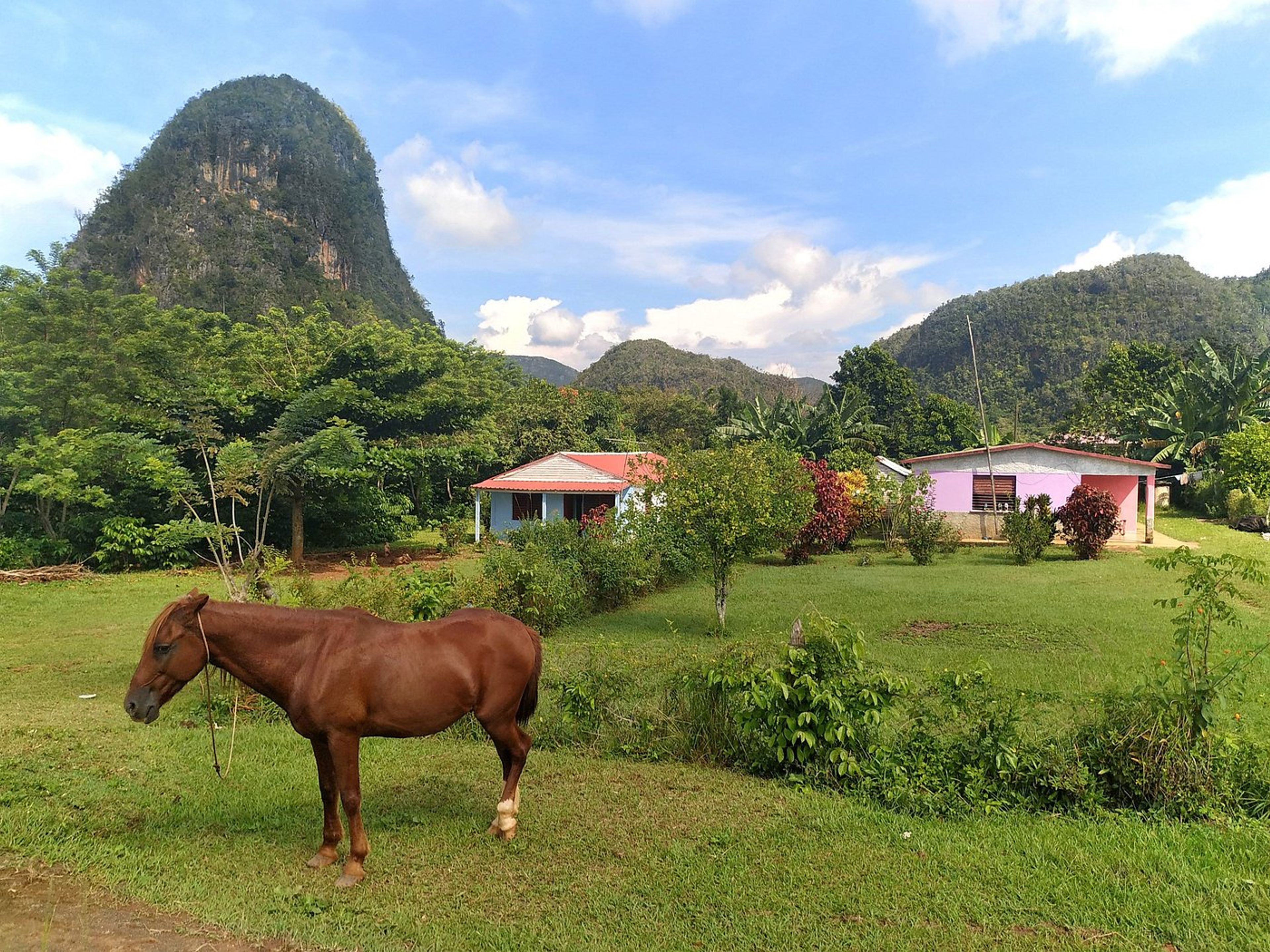 “HORSEBACK RIDING THROUGH THE VIÑALES VALLEY” Tour. “HORSEBACK RIDING THROUGH THE VIÑALES VALLEY” Tour, Viñales, Pinar del Río, Cuba.