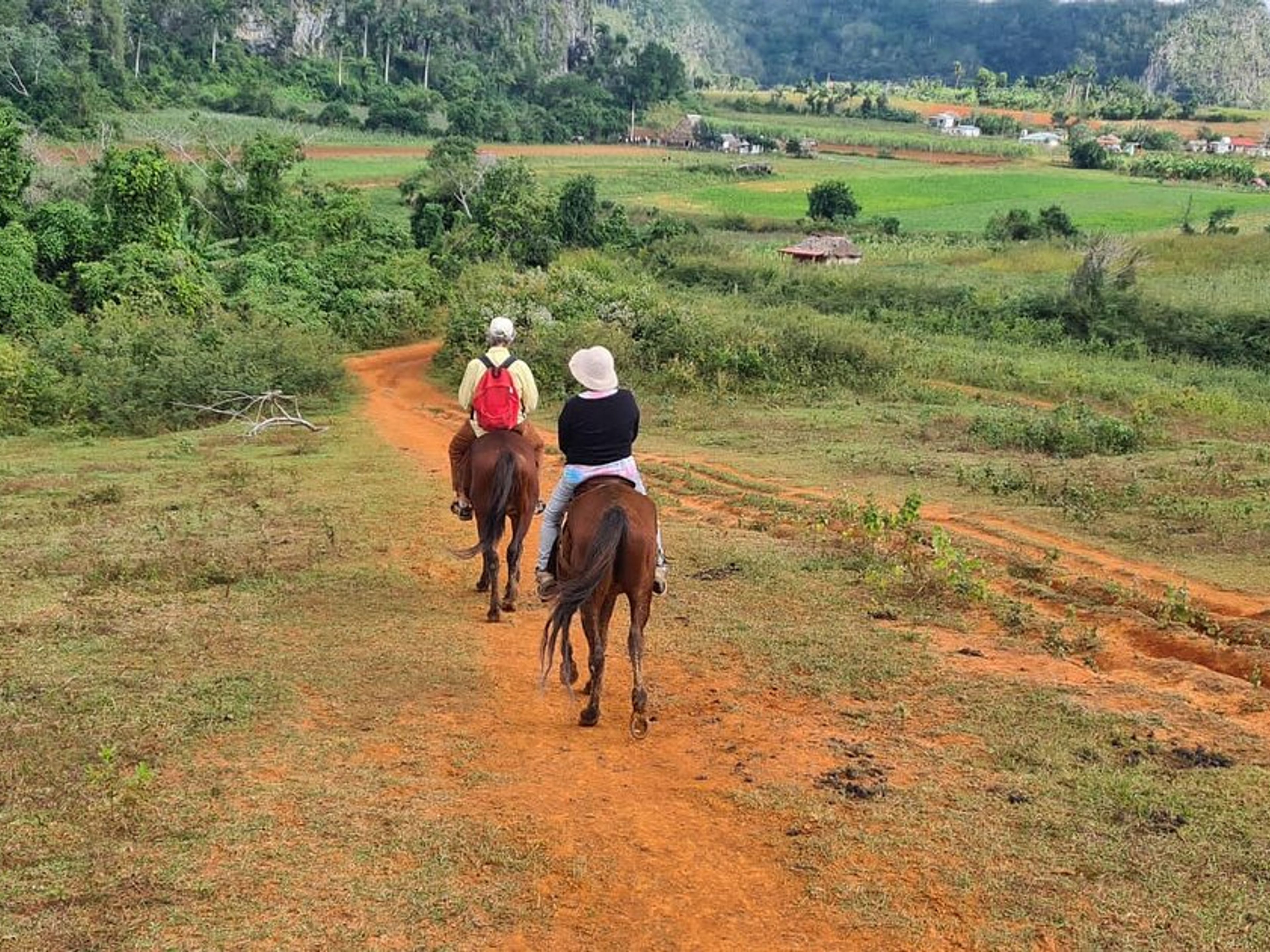 Tур "ВЕРХОВАЯ ЕЗДА ПО ДОЛИНЕ ВИНЯЛЕС". “HORSEBACK RIDING THROUGH THE VIÑALES VALLEY” Tour, Viñales, Pinar del Río, Cuba.