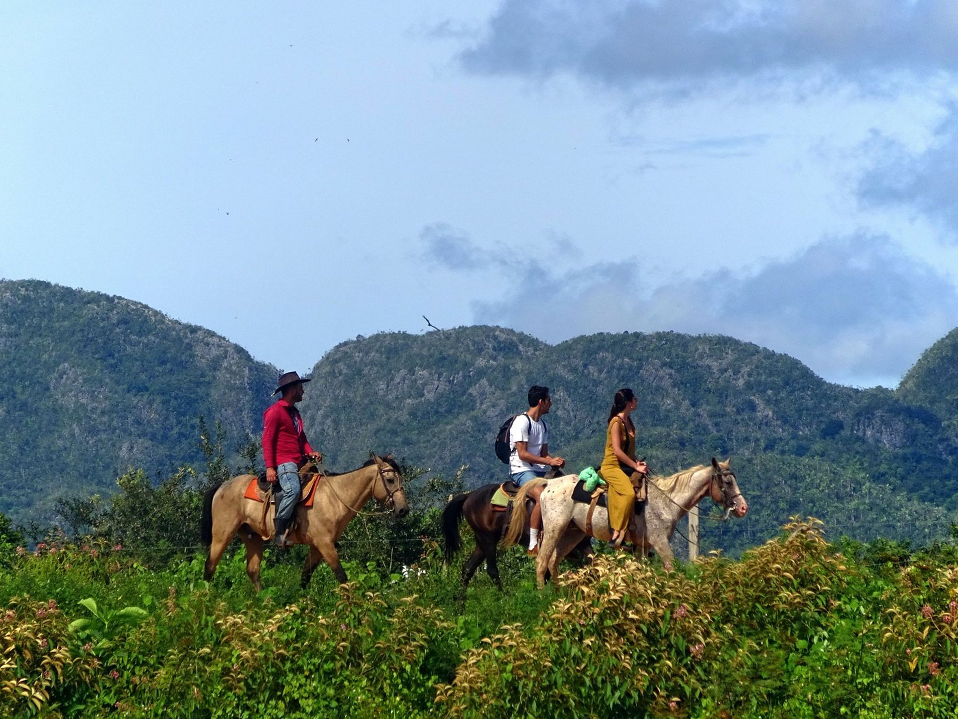 “HORSEBACK RIDING THROUGH THE VIÑALES VALLEY” Tour