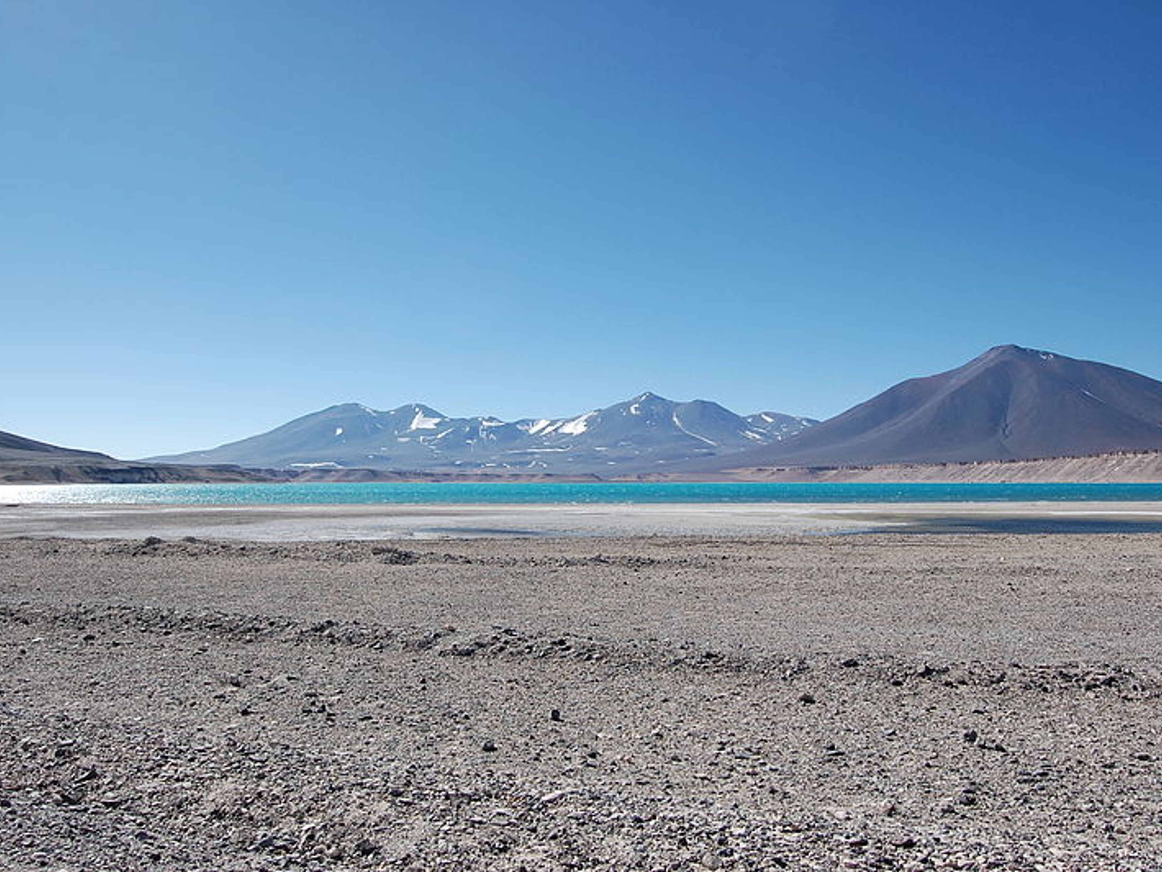 EXCURSIÓN “LAGUNAS DEL ALTIPLANO BOLIVIANO”.
