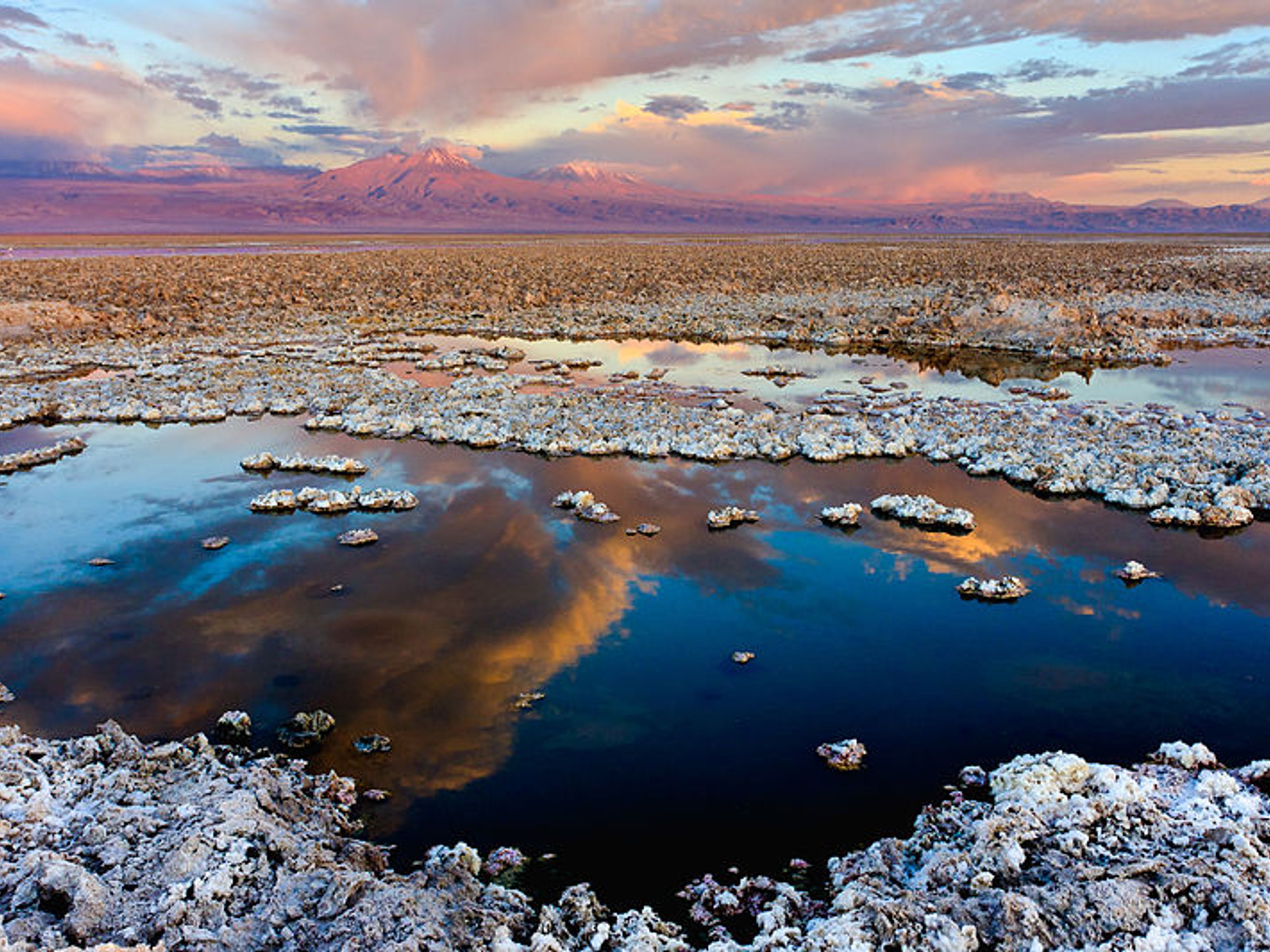 EXCURSIÓN “LAGUNAS DEL ALTIPLANO BOLIVIANO”.. null