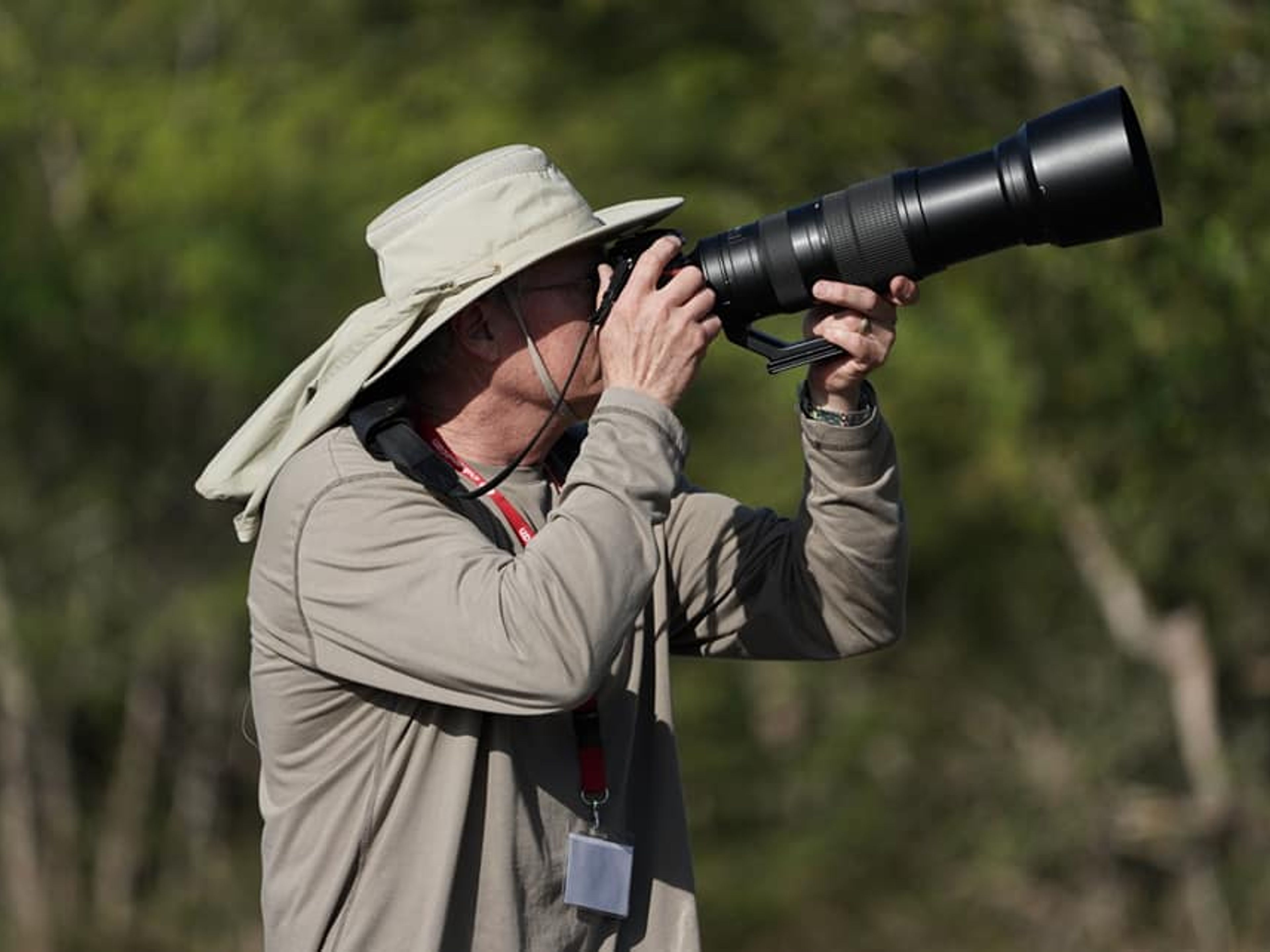 Visita à Natureza "Birdwatching on the Bermeja Trail". null