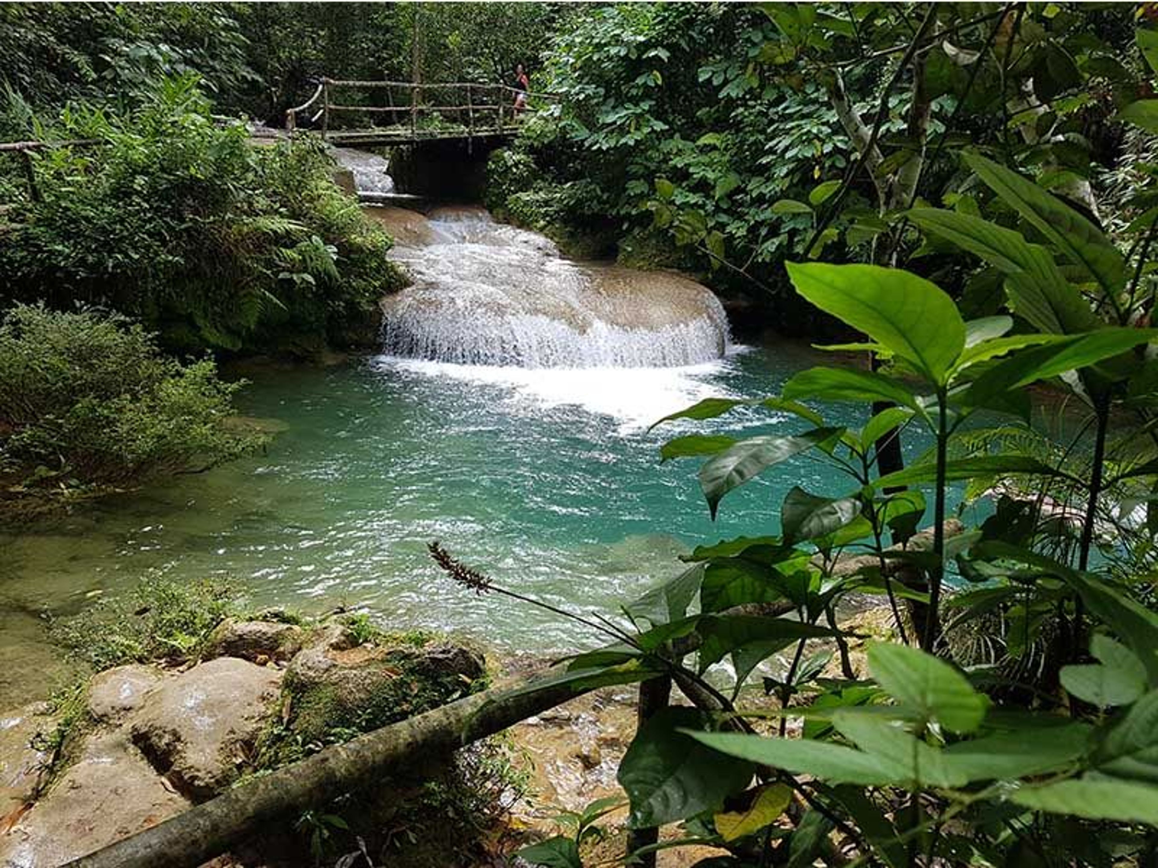 Excursión "PARQUE NATURAL EL NICHO, TOPES DE COLLANTES". "EL NICHO NATURAL PARK, TOPES DE COLLANTES" Tour, Cienfuegos, Cuba.