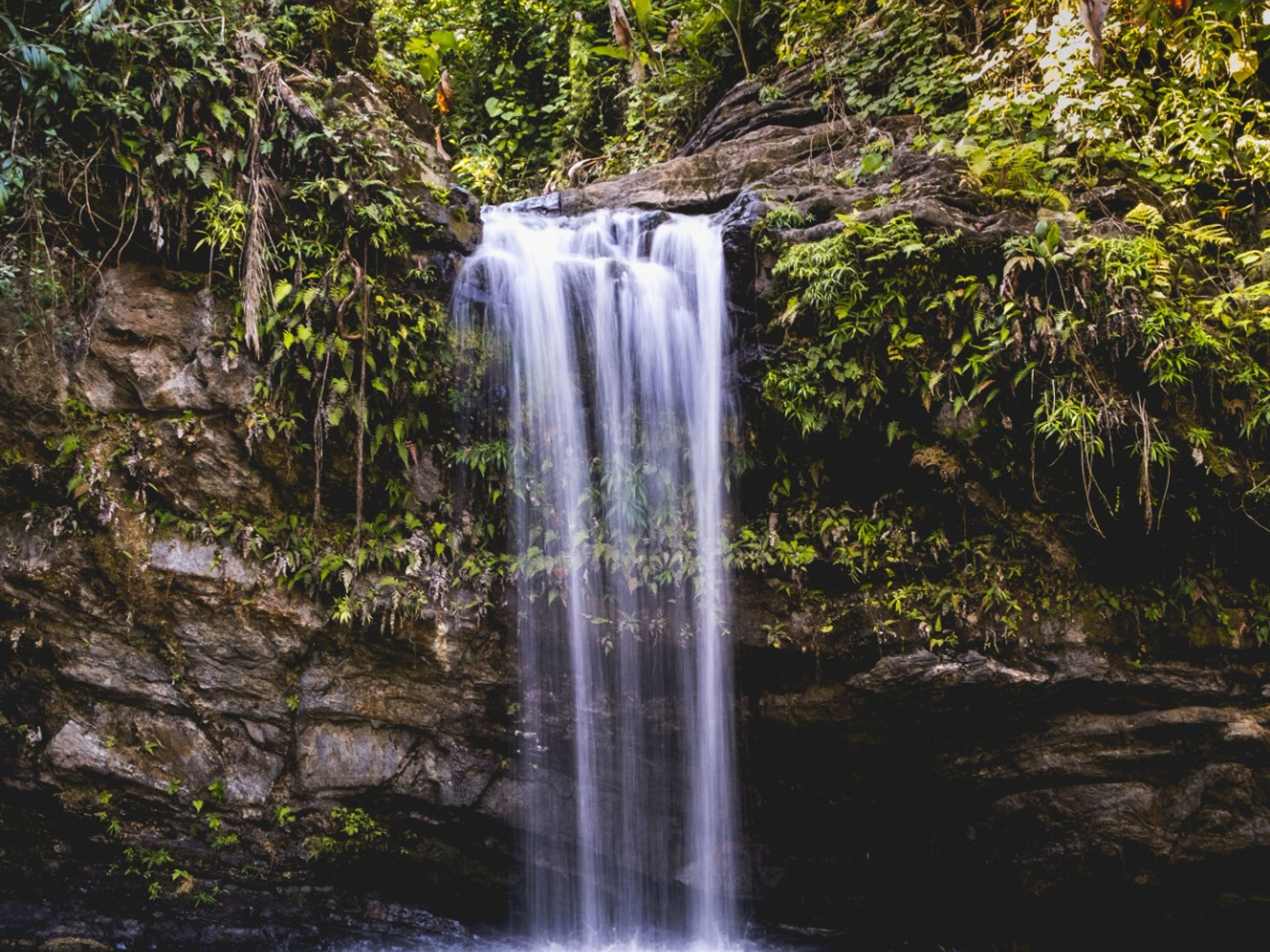 Excursión "PARQUE NATURAL EL NICHO, TOPES DE COLLANTES". "EL NICHO NATURAL PARK, TOPES DE COLLANTES" Tour, Cienfuegos, Cuba.