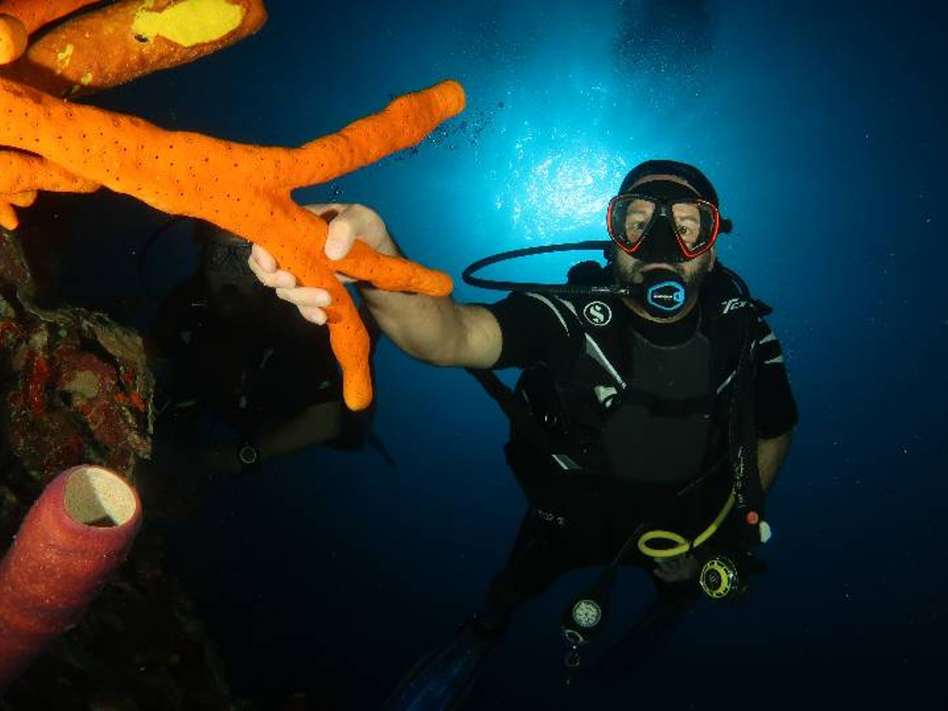 Excursão "MERGULHO SUBMARINO EM BAHIA DE COCHINOS, PLAYA GIRON, MATANZAS". “SCUBA DIVING IN BAHIA DE COCHINOS, PLAYA GIRON, MATANZAS“ Tour