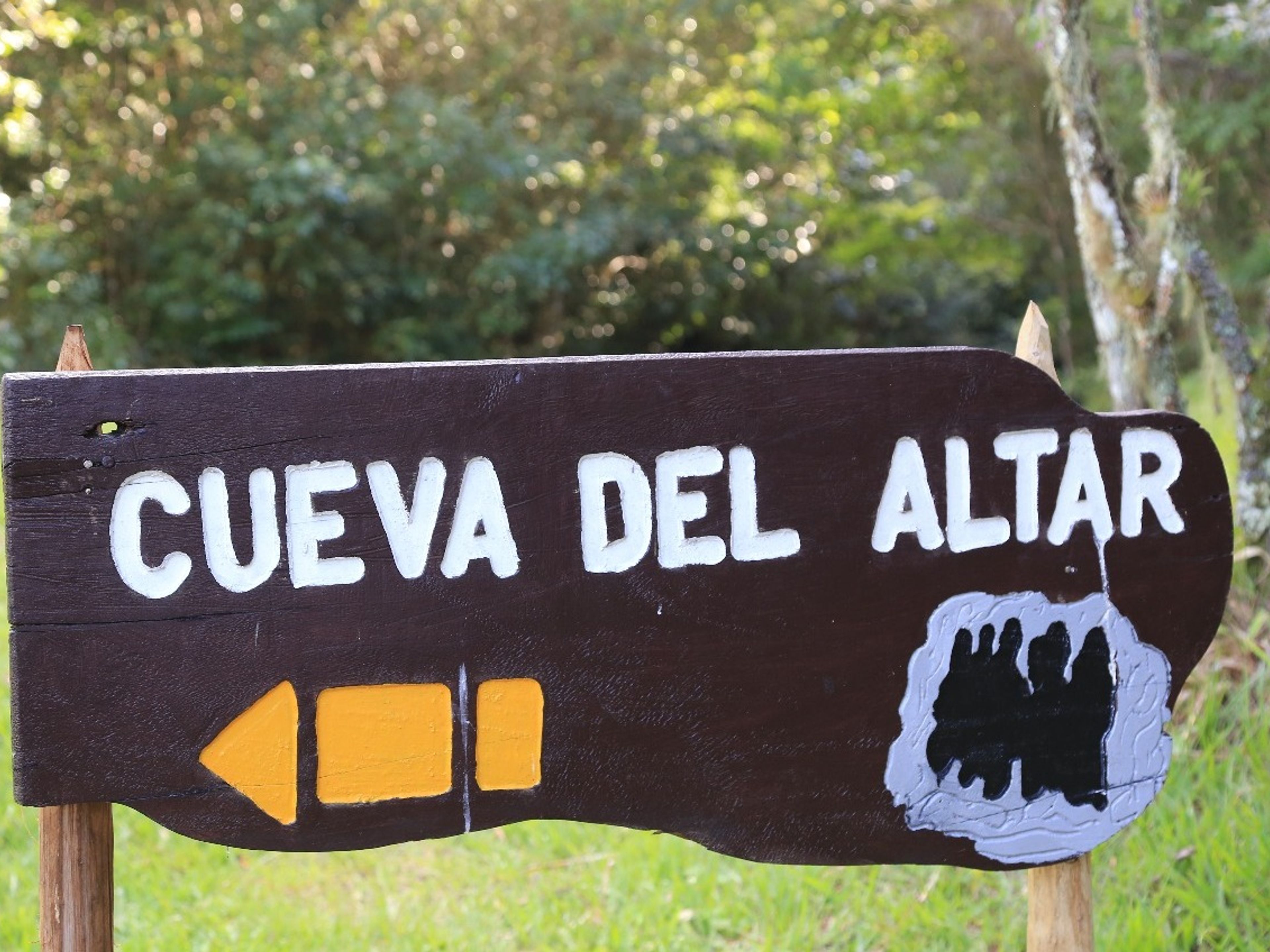 Jeep Safari "RUTAS DE SENDERISMO POR EL PARQUE NATURAL DE CODINA". The Magic Carpet Trail in Codina Park, Topes de Collantes, Cuba