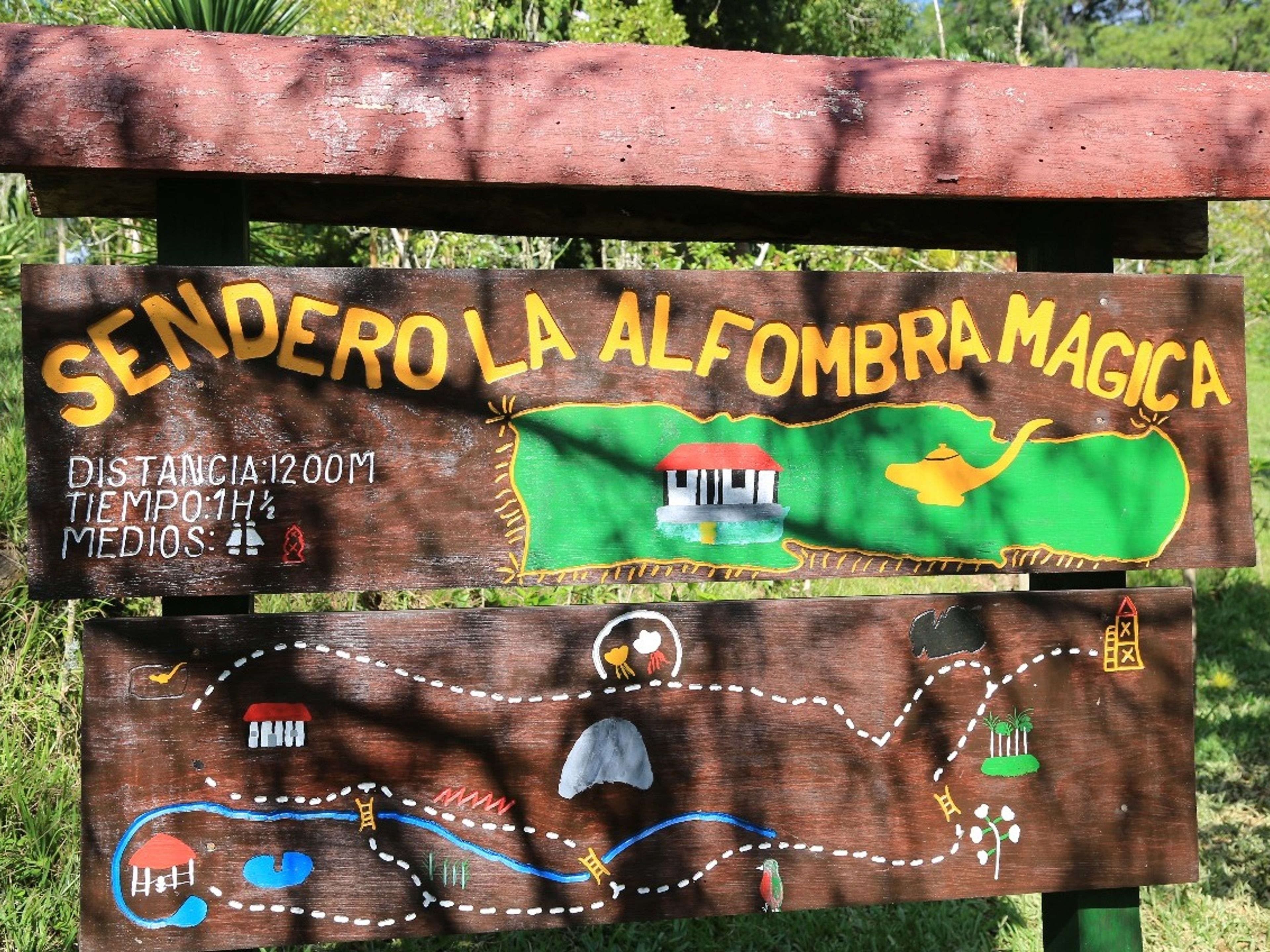 Jeep Safari "RUTAS DE SENDERISMO POR EL PARQUE NATURAL DE CODINA". The Magic Carpet Trail in Codina Park, Topes de Collantes, Cuba