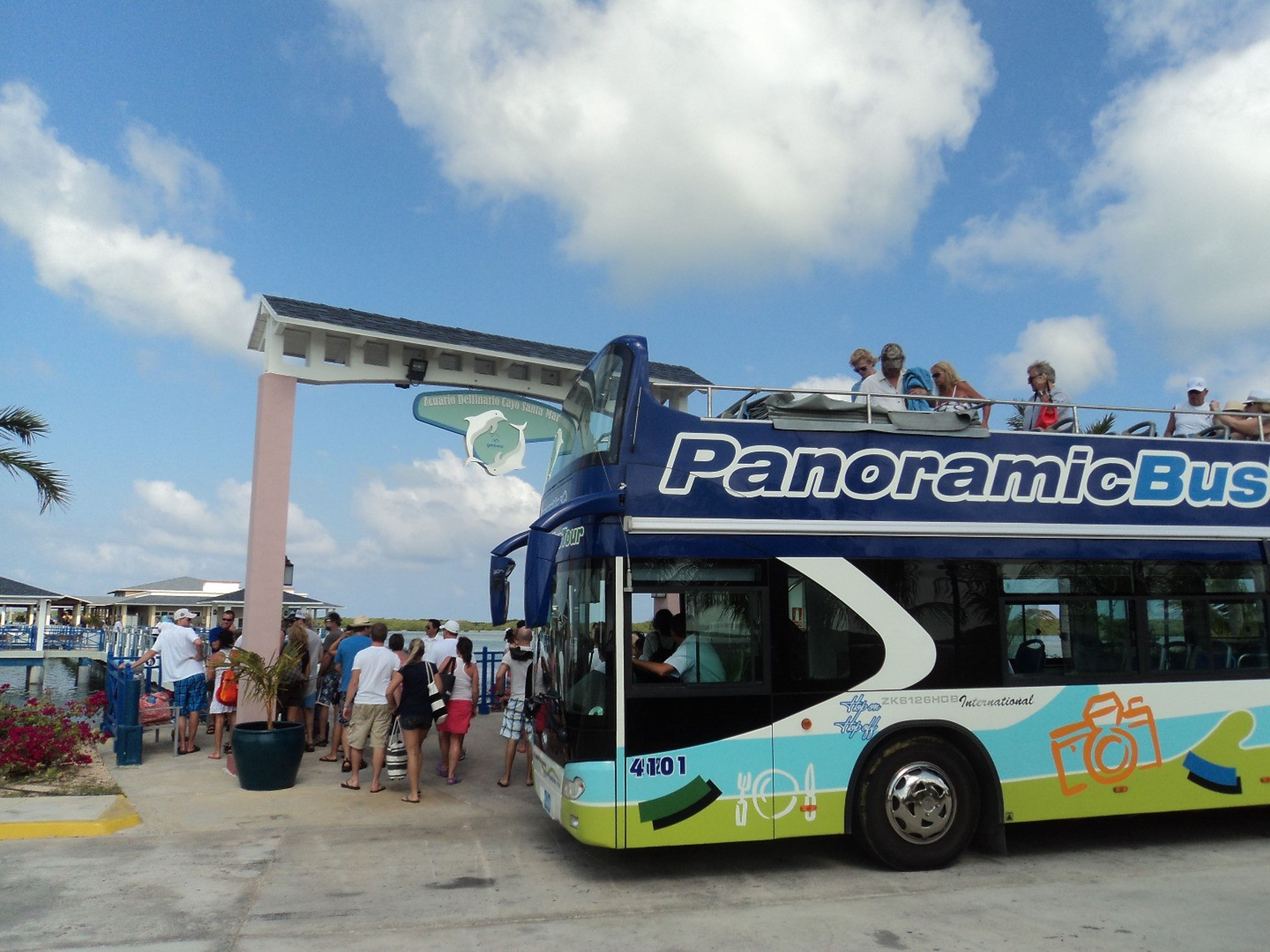 Tour "SPETTACOLO DI DELFINI AL DELFINARIO DI CAYO SANTA MARIA". Panoramic bus tour at Cayo Santa María dolphinarium