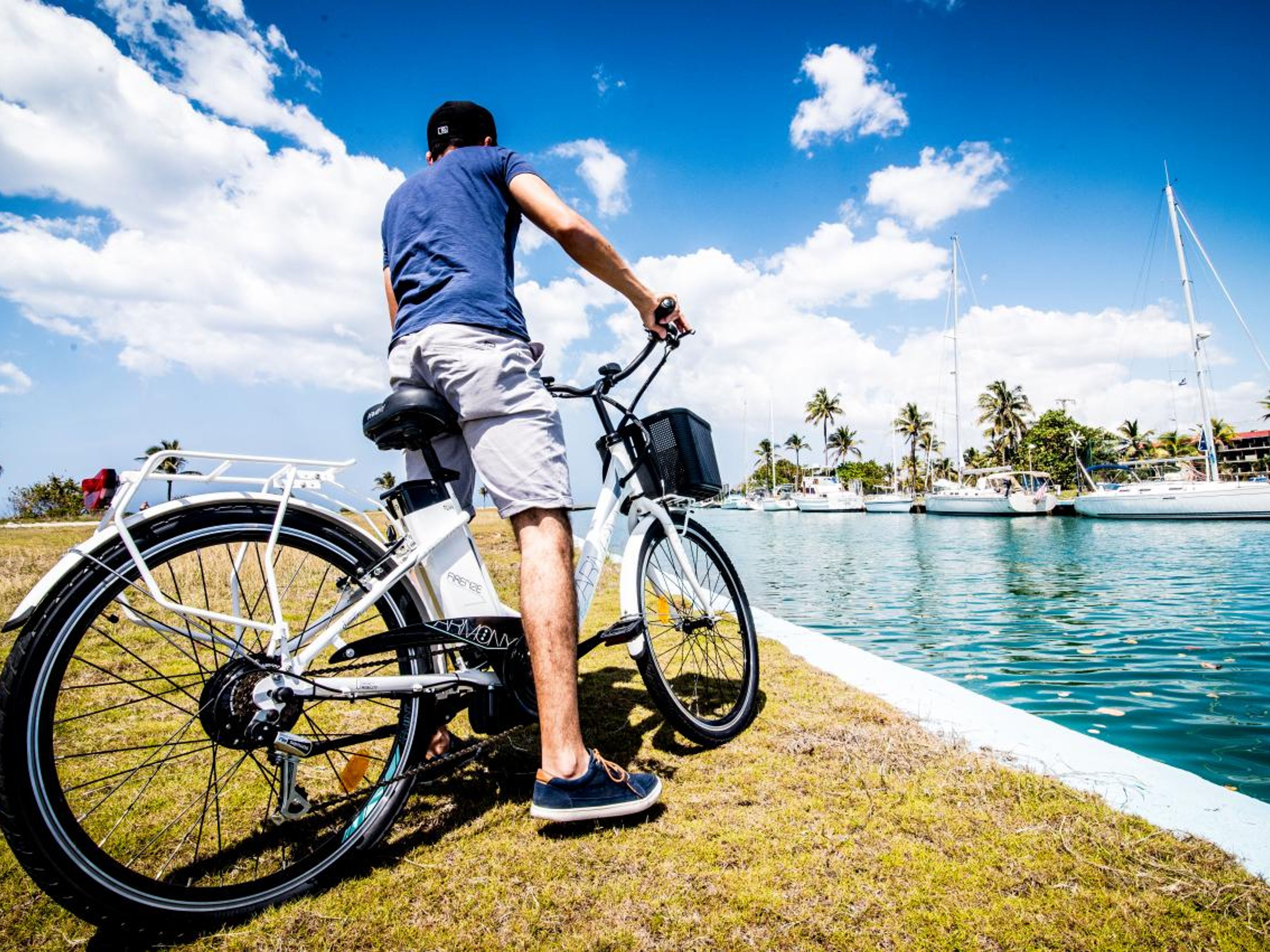 Tour in bicicletta “LA CAMPAGNA DELL'AVANA”