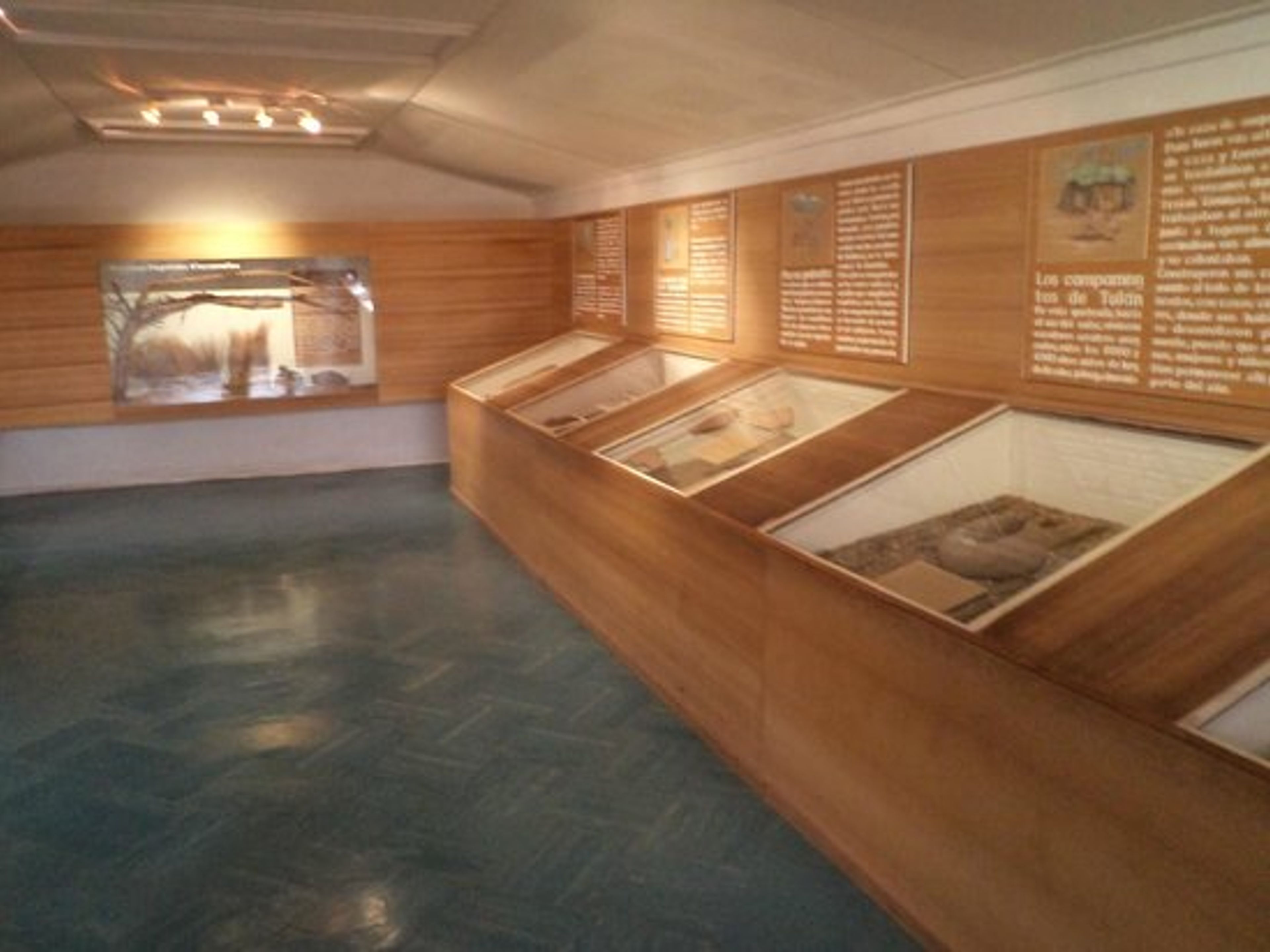 "ARCHEOLOGICAL + DEGUSTATION" TOUR. Archaeological Museum Le Paige , Antofagasta region, Chile.