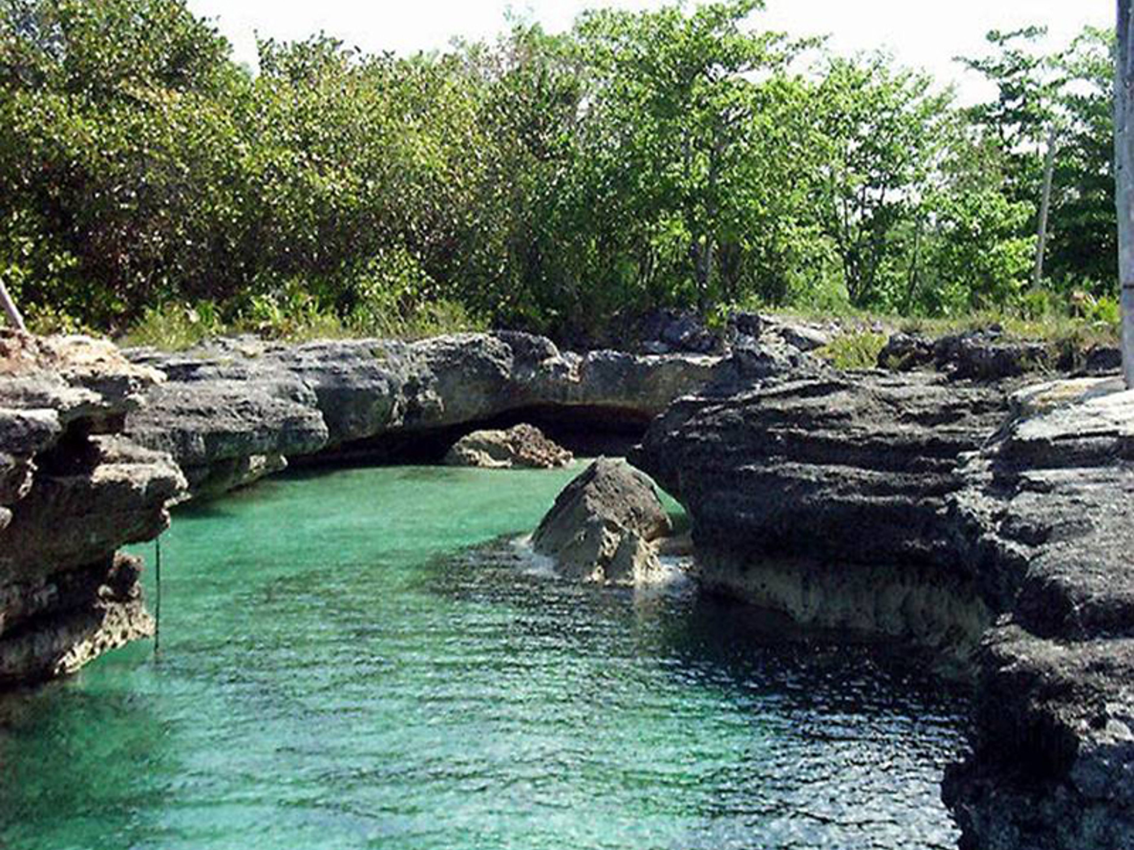 Nature Tour "Viaje a los Orígenes". Ciénaga del Lanier, Isla de la Juventud, Cuba
