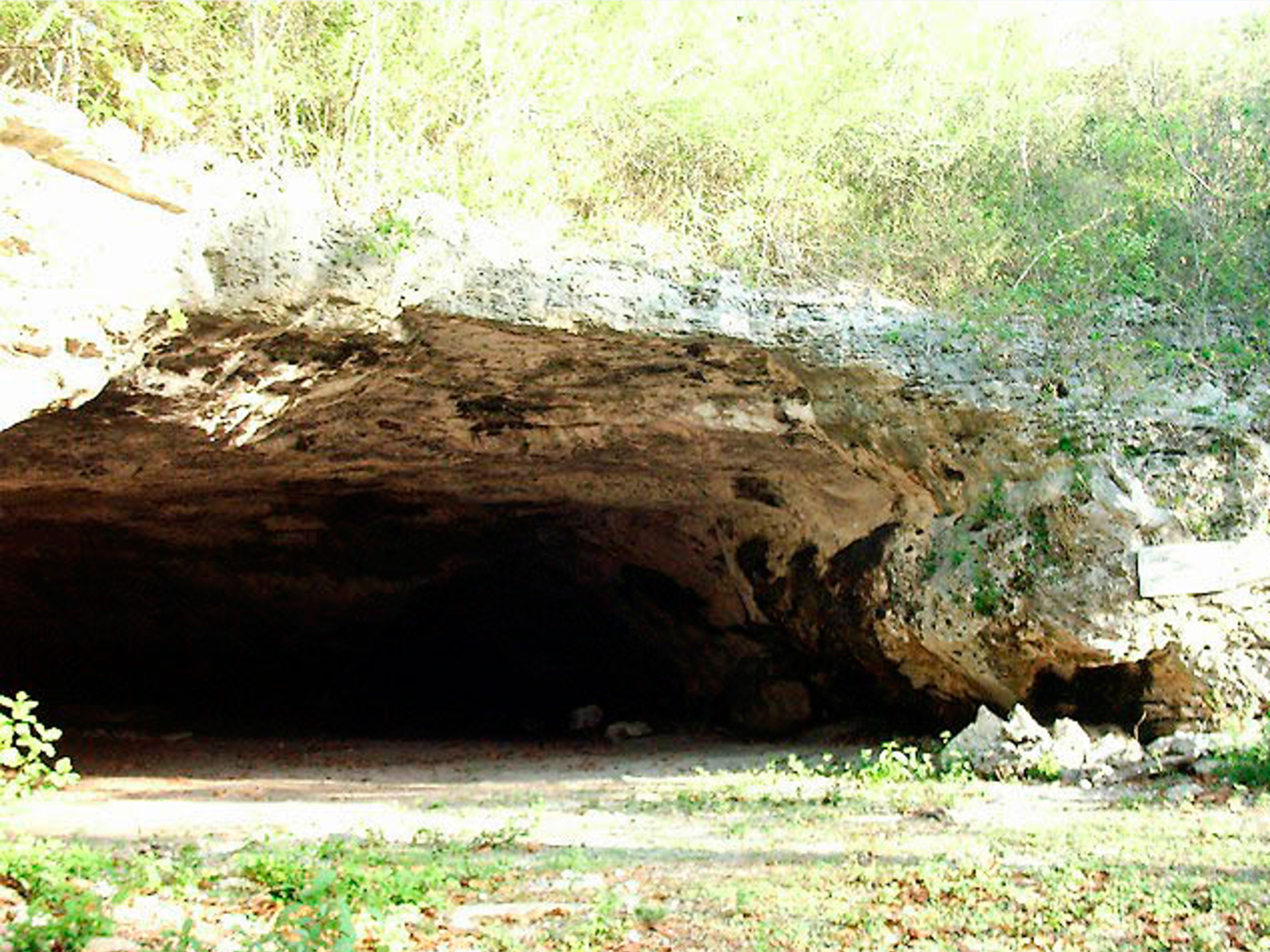 Природный тур "Путешествие к истокам". Punta del Este caves, Isla de la Juventud, Cuba