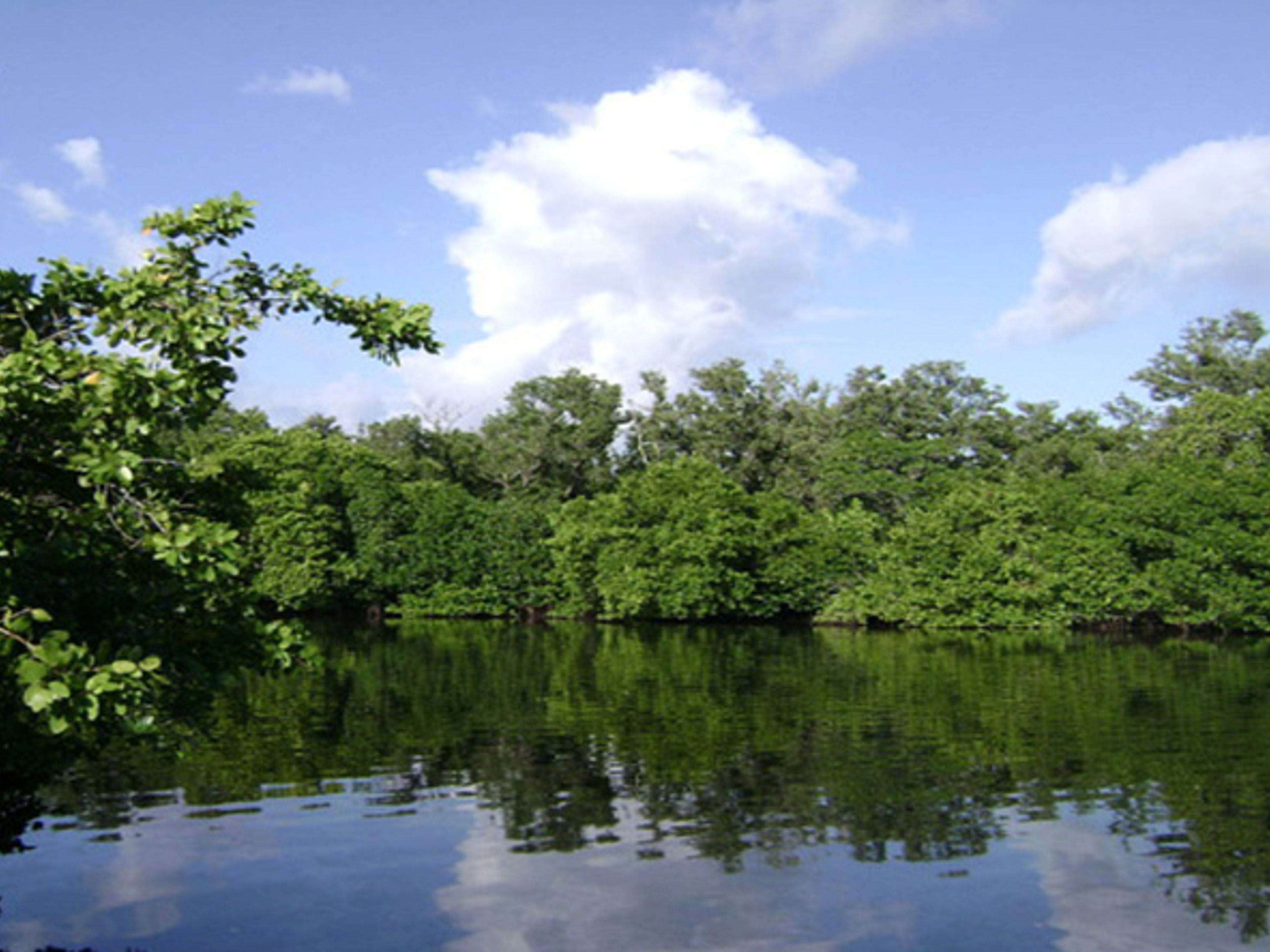 Природный тур "Путешествие к истокам". Ciénaga del Lanier, Isla de la Juventud, Cuba