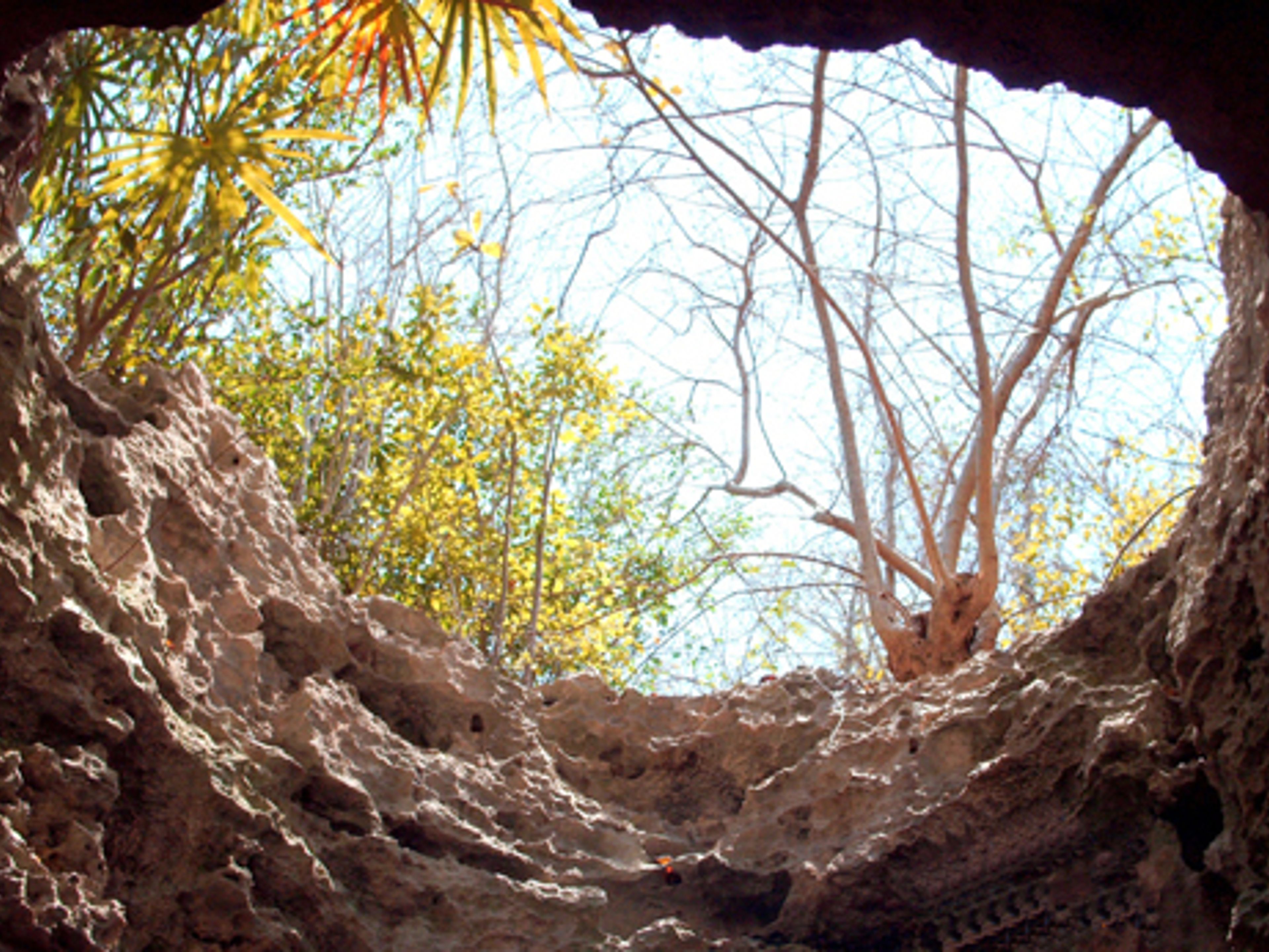 Природный тур "Путешествие к истокам". Punta del Este caves, Isla de la Juventud, Cuba