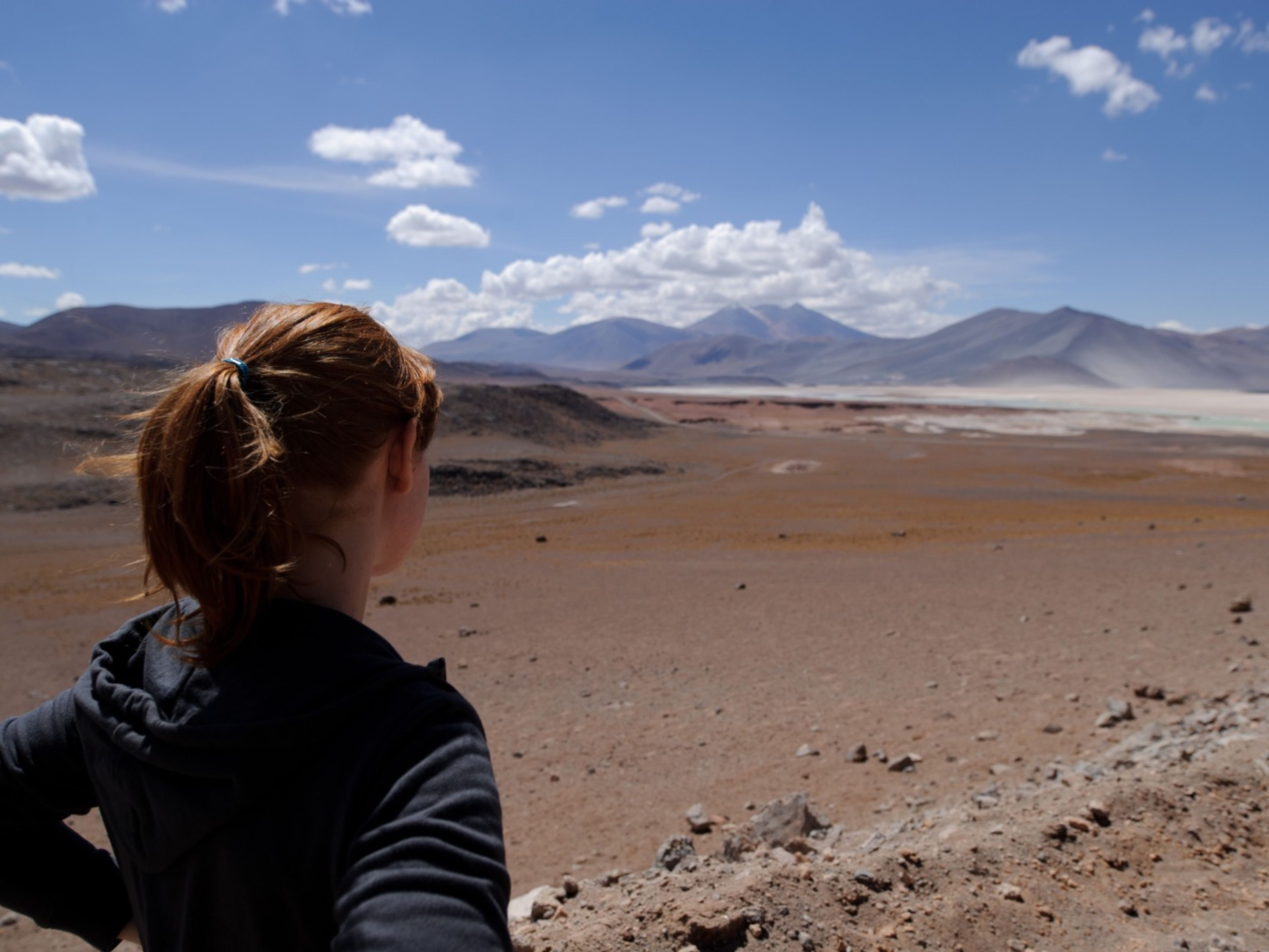 EXCURSION "LAGUNES ALTIPLANIQUES ET PIERRES ROUGES. Altiplanic lagoons, Antofagasta region, Chile.
