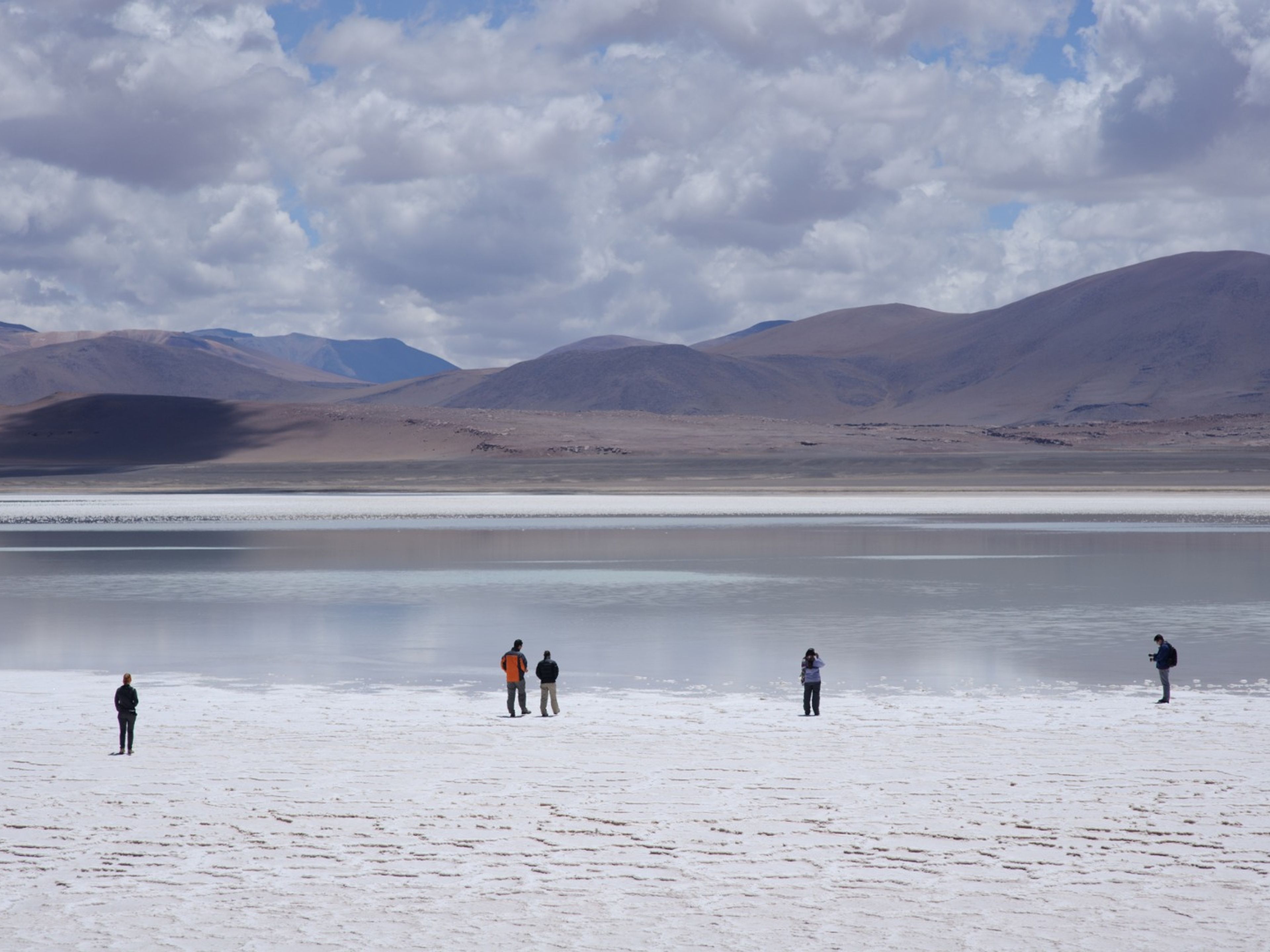 EXCURSION "LAGUNES ALTIPLANIQUES ET PIERRES ROUGES. Altiplanic lagoons, panoramic view, Antofagasta region, Chile