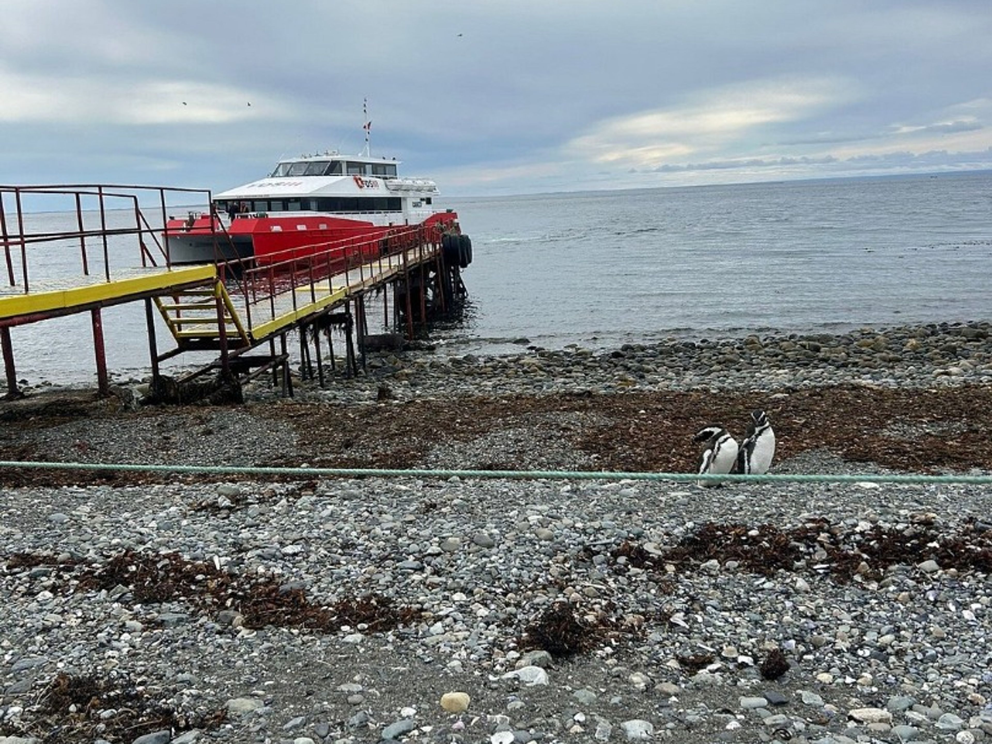 "SOUTHERN FJORDS NAVIGATION" Tour. SOUTHERN FJORDS NAVIGATION AND‘LOS PINGÜINOS’ NATURAL MONUMENT – MAGDALENA ISLAND, STRAIT OF MAGELLAN, CHILE.