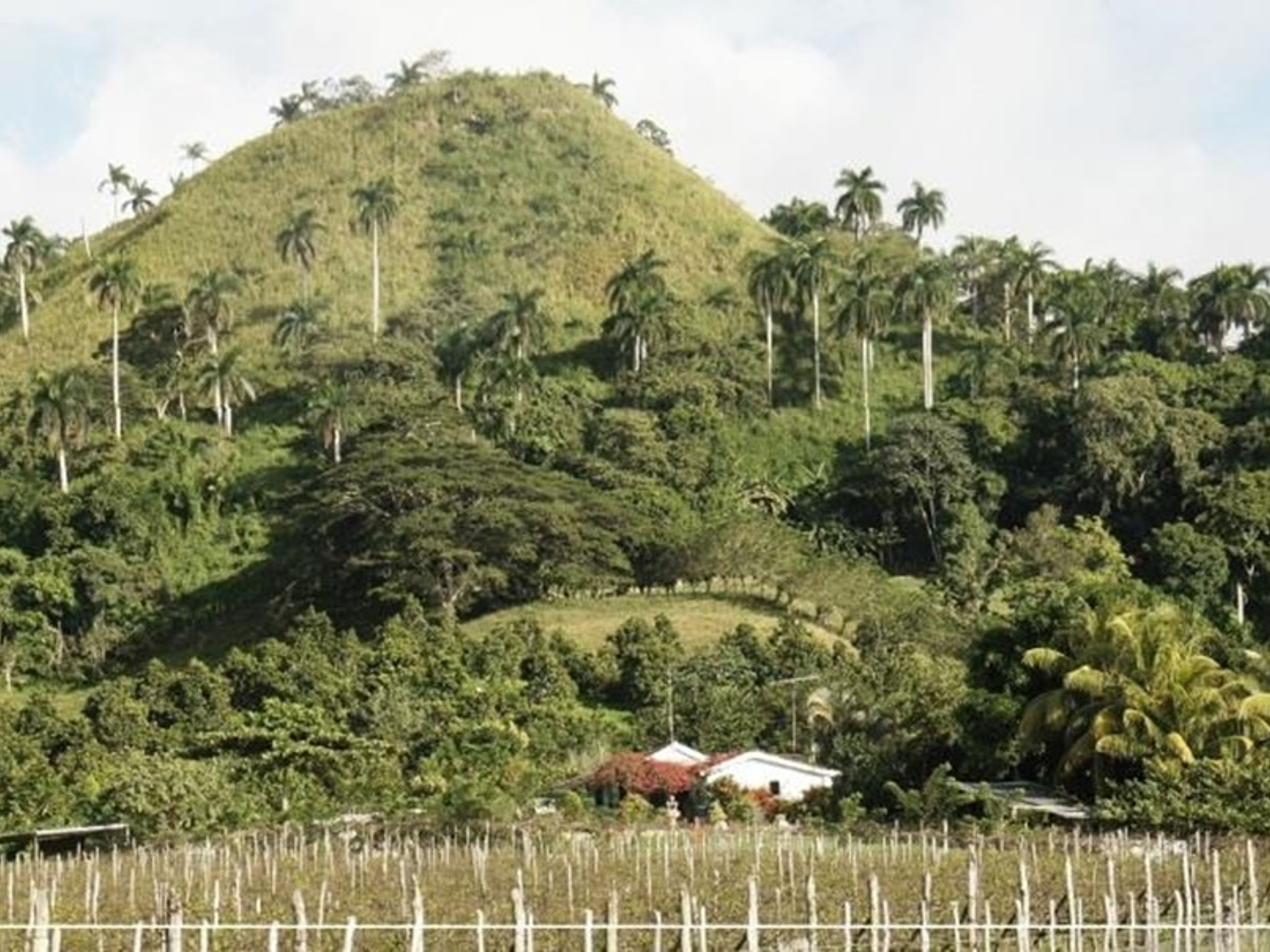 Excursão "VISITA À QUINTA DA MANACA ARRIBA"