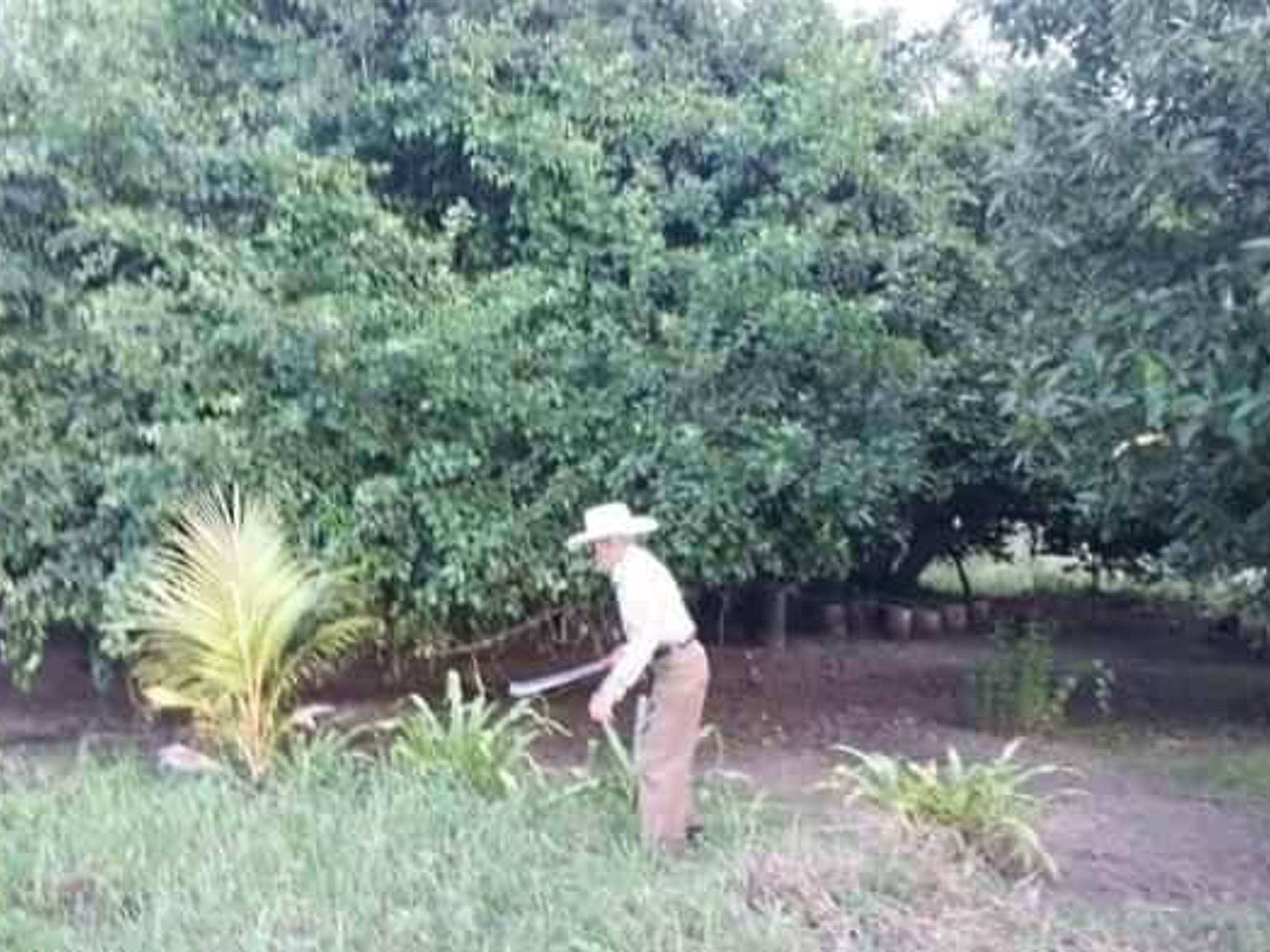 "VISIT TO THE MANACA ARRIBA FARM" Tour. Finca Manaca Arriba panoramic view, Ciego de Ávila, Cuba.