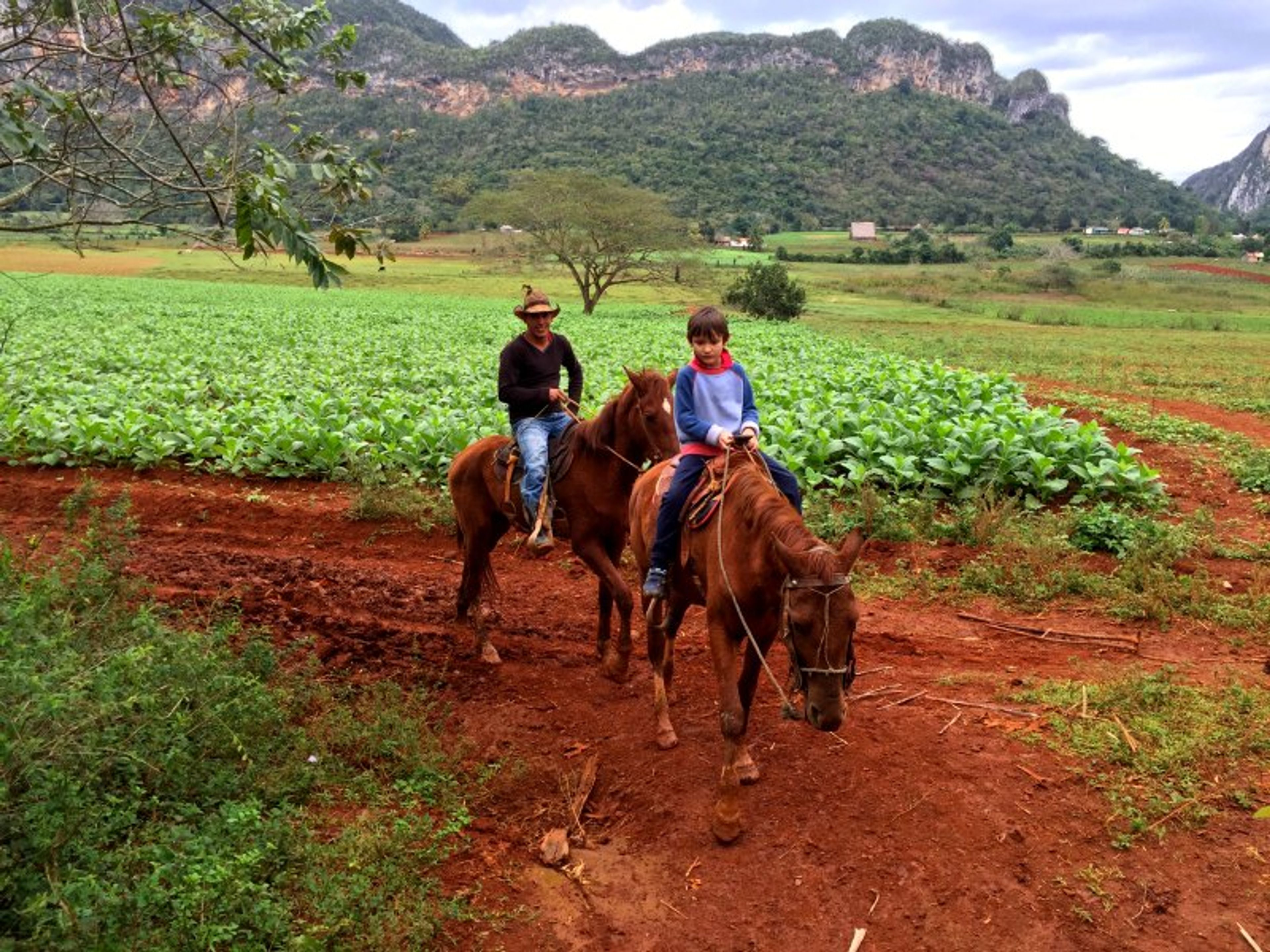 “HORSEBACK RIDING IN VIÑALES”. Horseback riding in Viñales valley, Pinar del Río