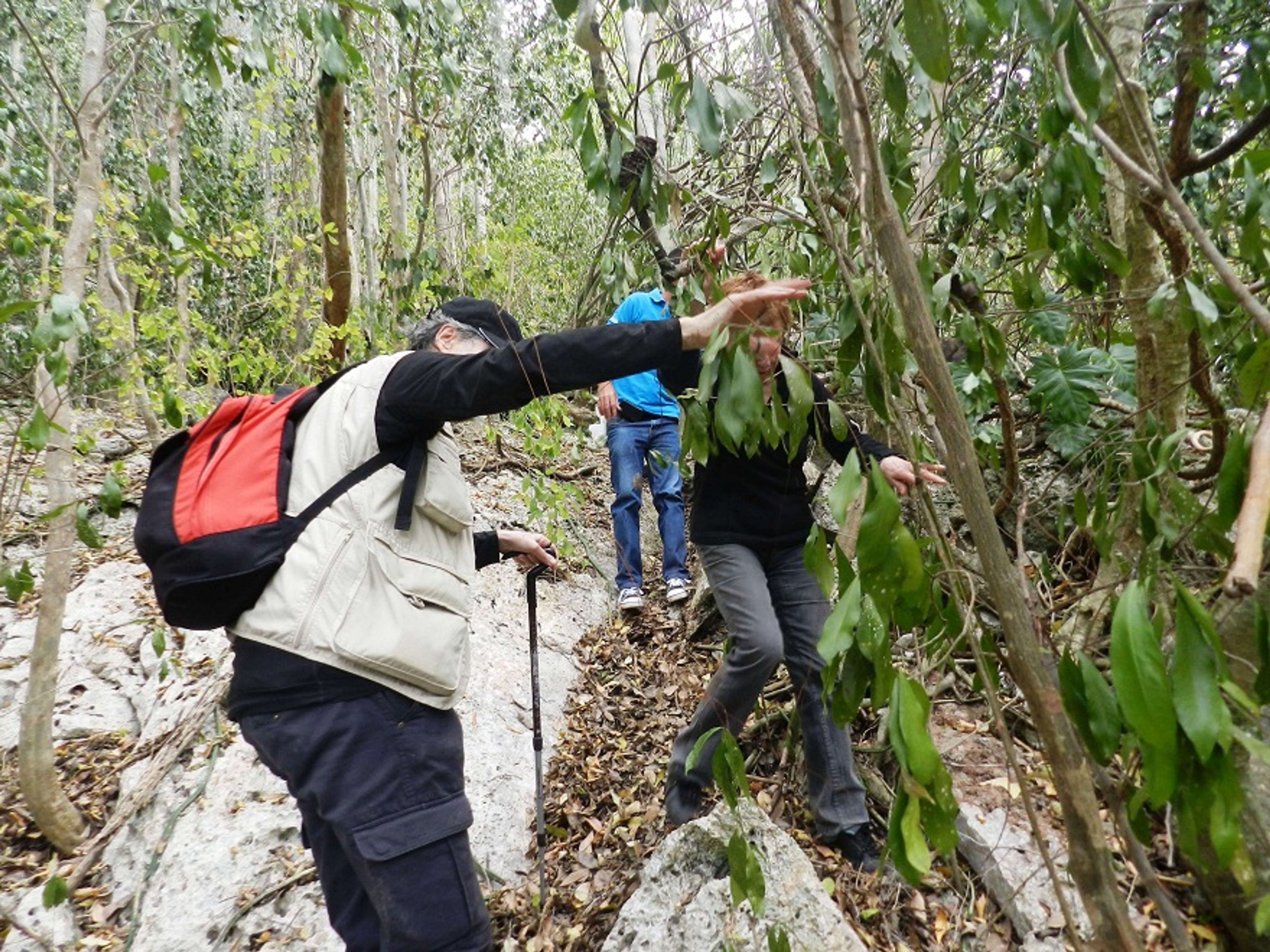 Excursión “Cuevas de Camagüey”. Camagüey's Caves tour, Limones Tuabaquey ecological reserve area, Camagüey
