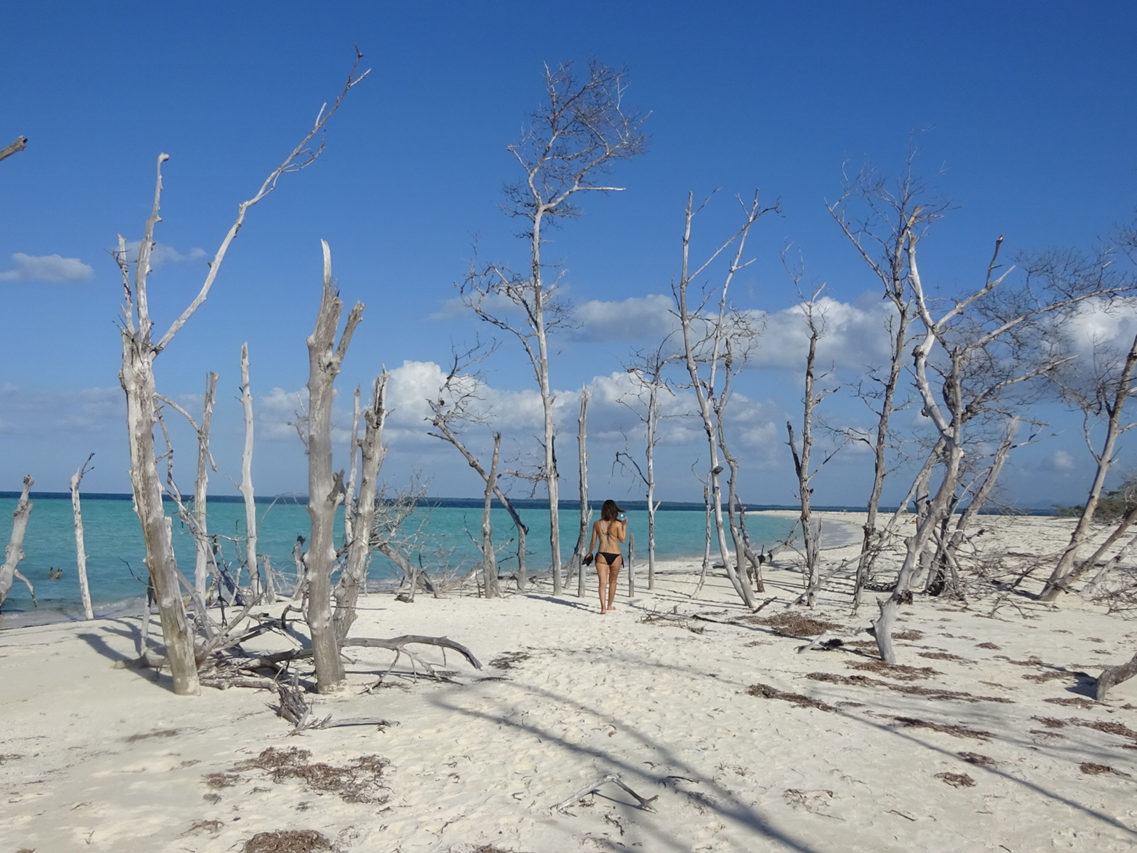 "Visite d'une journée au paradis". Cayo Jutias beach panoramic view, Pinar del Río