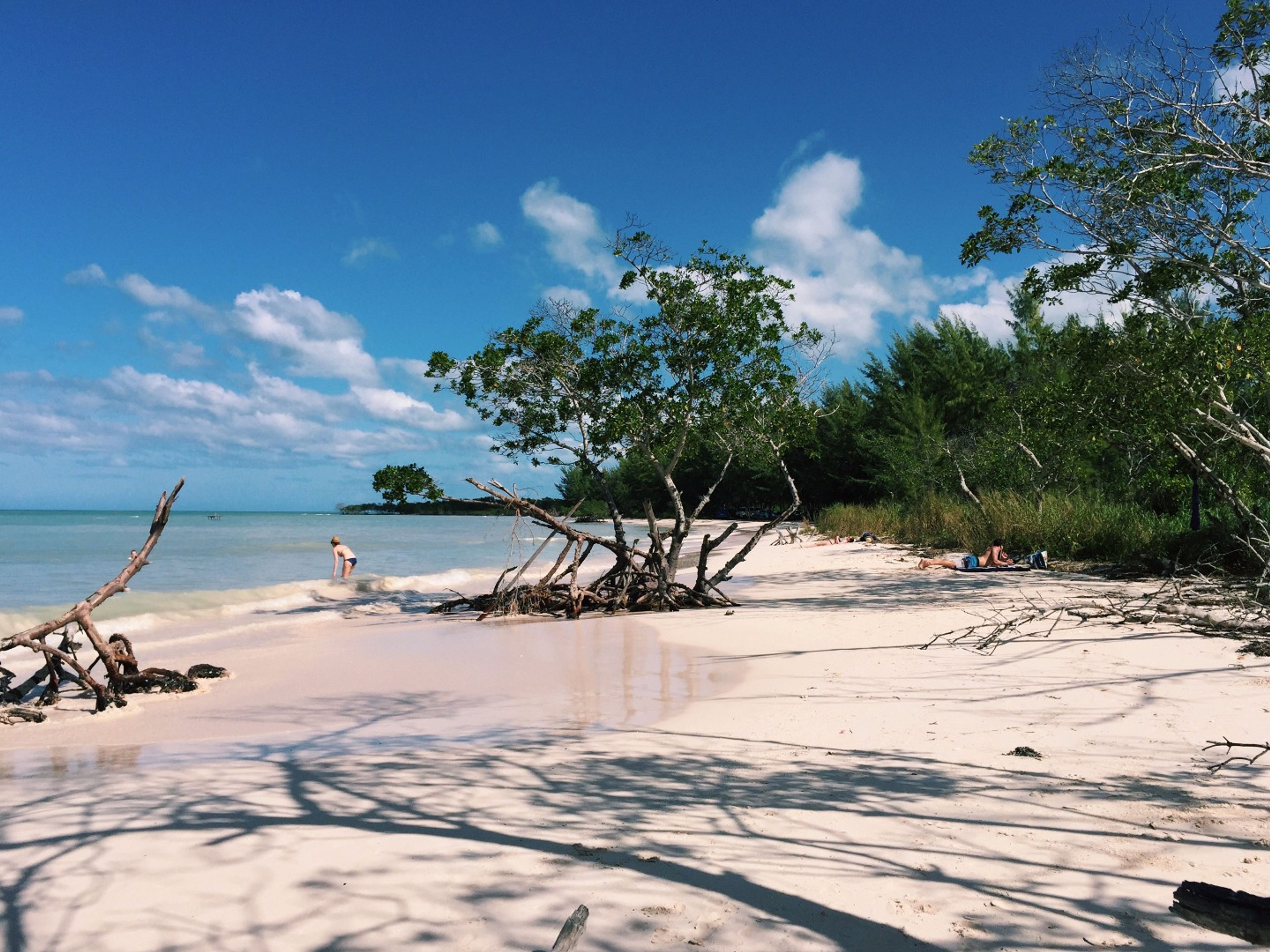 "Tour un giorno in paradiso". Cayo Jutias beach panoramic view, Pinar del Río