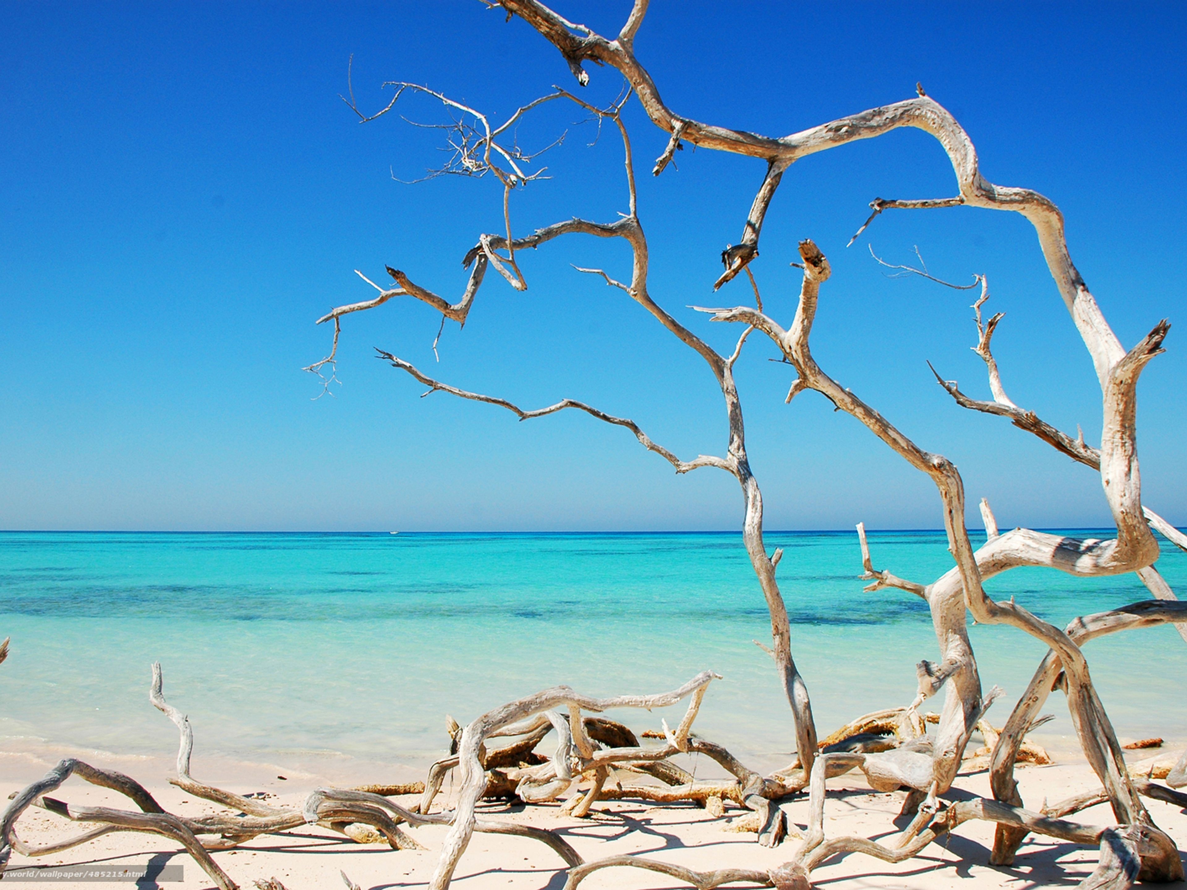 "Tour un giorno in paradiso". Cayo Jutias beach panoramic view, Pinar del Río