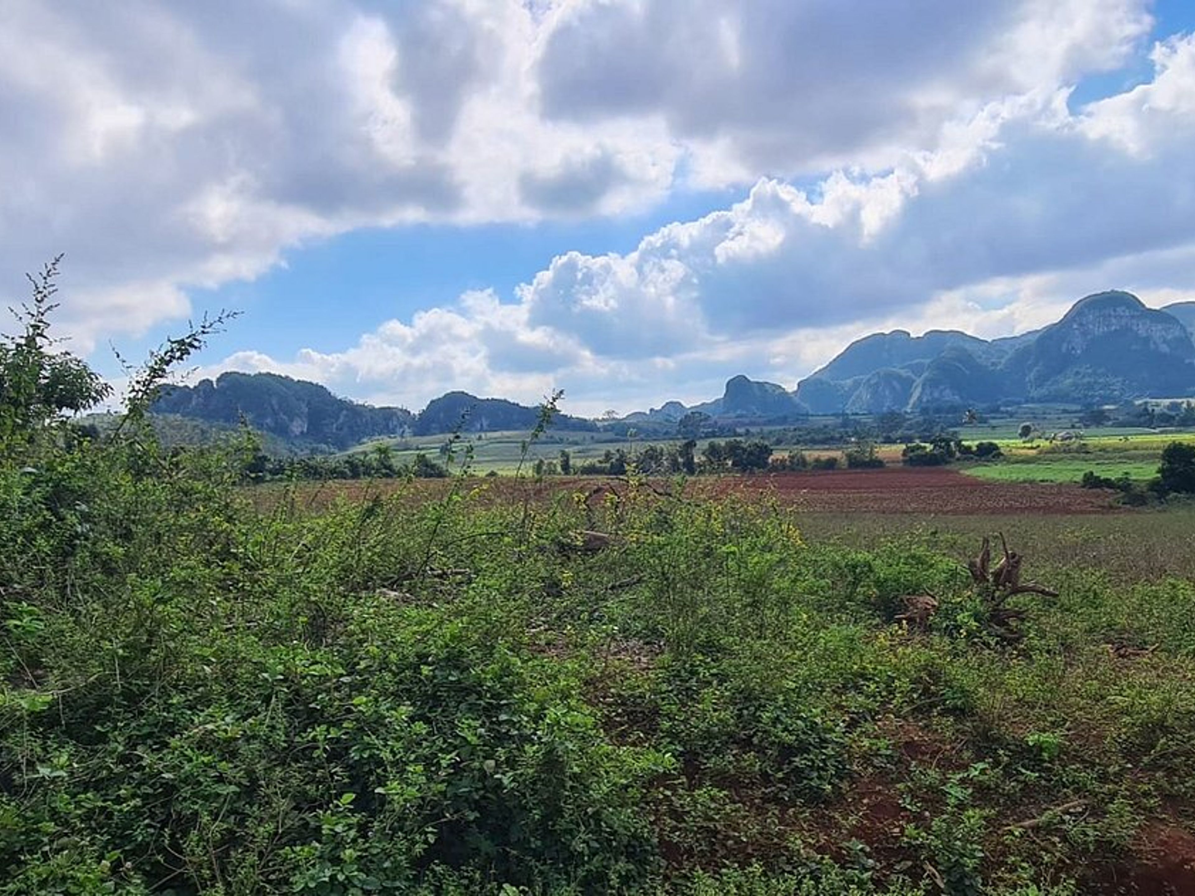 Tур "ТРОПА КОКО СОЛО – ПАЛЬМАРИТО В ДОЛИНЕ ВЬЯЛЬЕС". “COCO SOLO - PALMARITO TRAIL IN THE VIÑALES VALLEY” Tour, Viñales, Pinar del Río, Cuba.