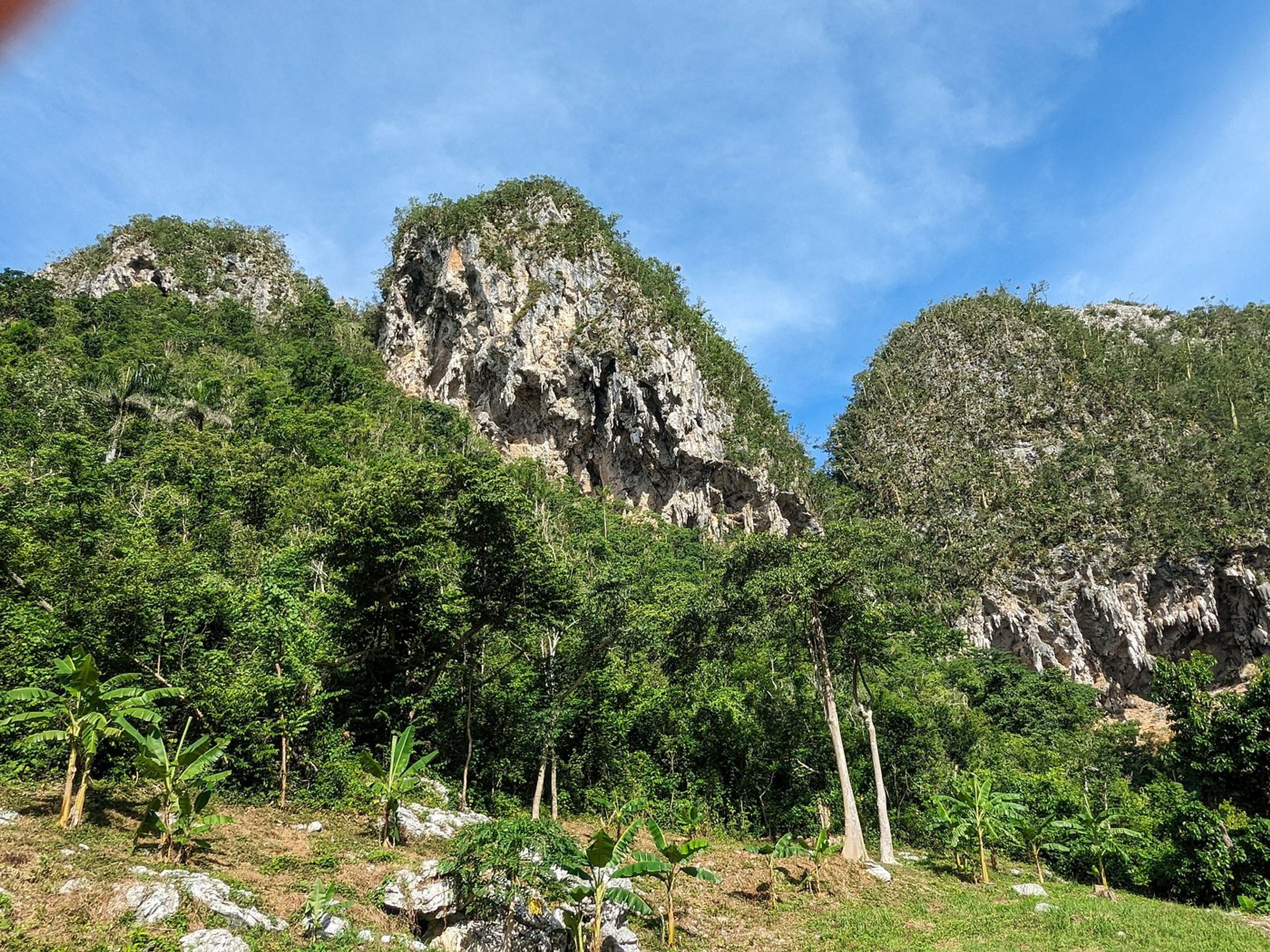 “COCO SOLO - PALMARITO TRAIL IN THE VIÑALES VALLEY” Tour