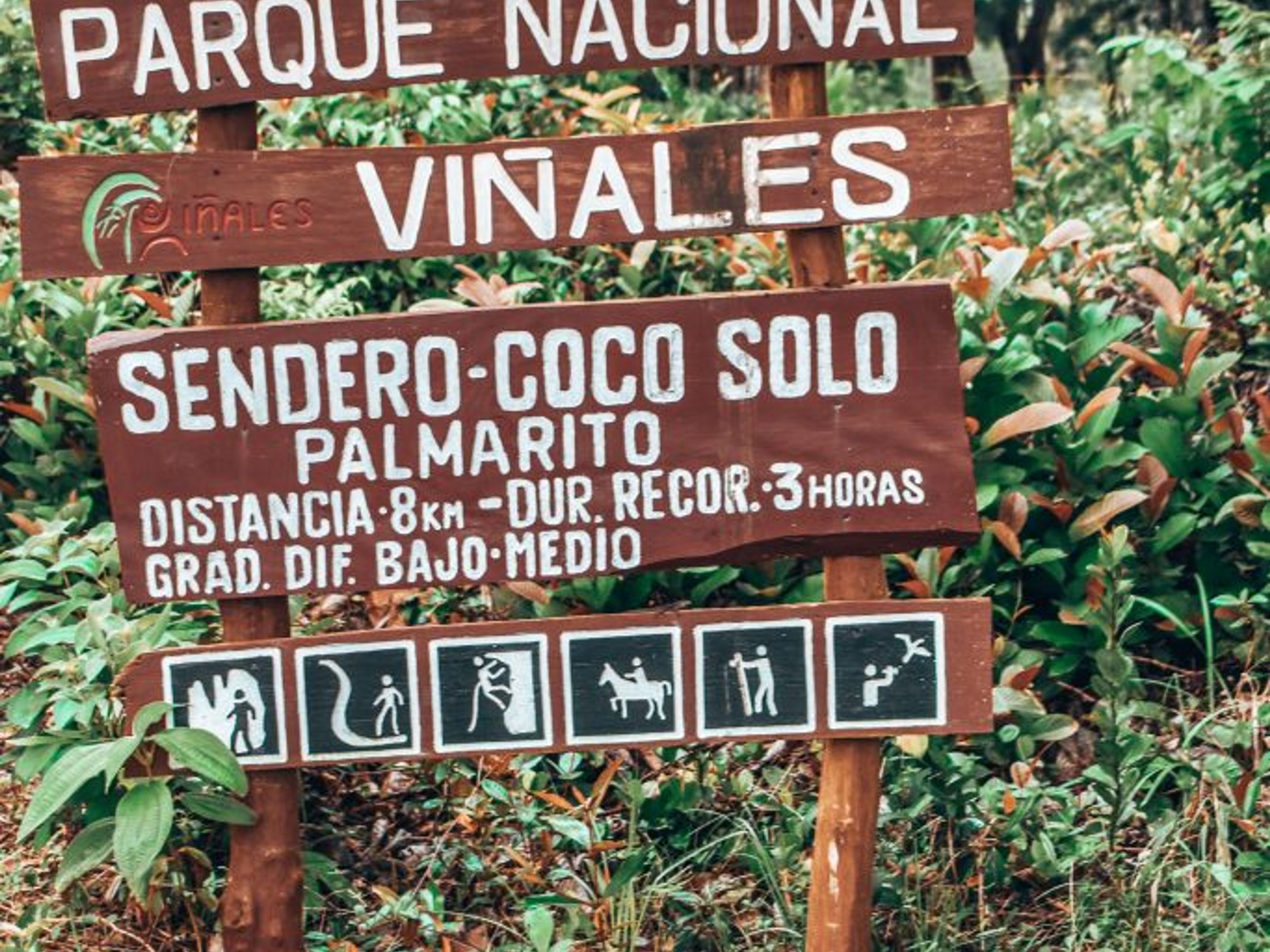 “COCO SOLO - PALMARITO TRAIL IN THE VIÑALES VALLEY” Tour. “COCO SOLO - PALMARITO TRAIL IN THE VIÑALES VALLEY” Tour, Viñales, Pinar del Río, Cuba.