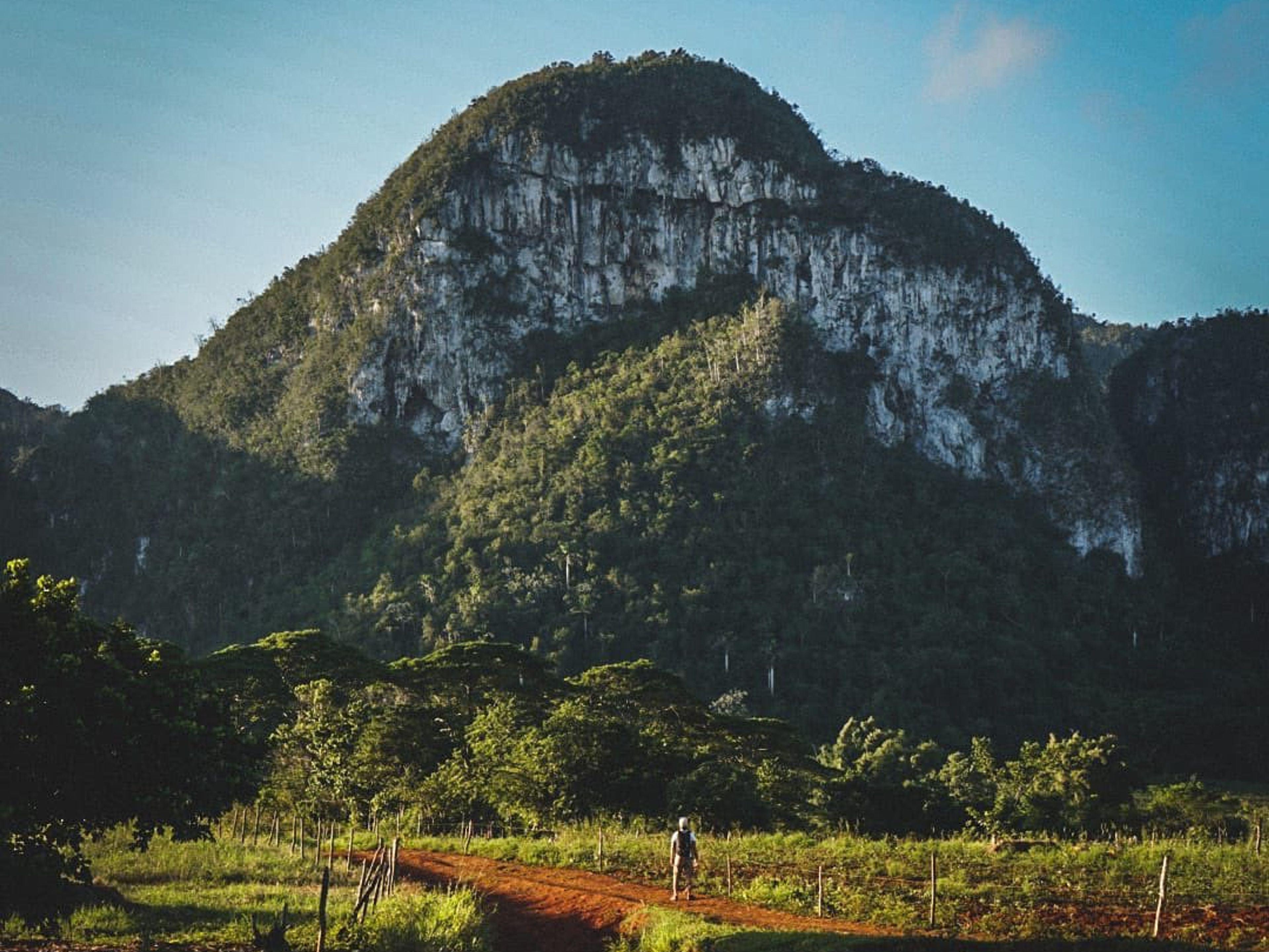 Tour "Randonnée vers la Cueva del Silencio (Grotte du Silence)". The Valle del Silencio panoramic view, Viñales Valley National Park, Pinar del Rio, Cuba.