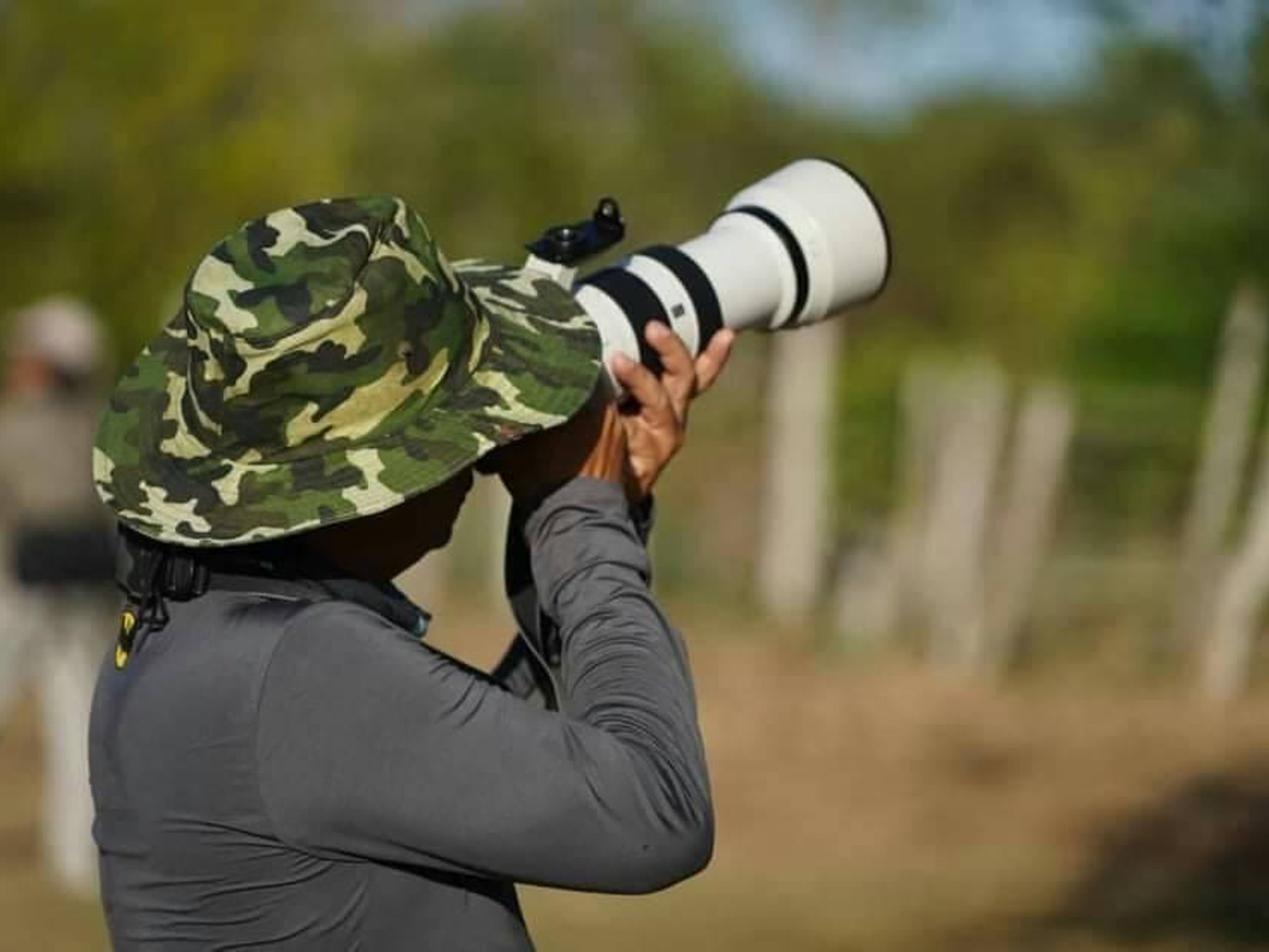 Jeep Safari "BIRD WATCHING IN CAYO COCO". Birdwatching in Cayo Coco, Jardines del Rey, Ciego de Ávila, Cuba.
