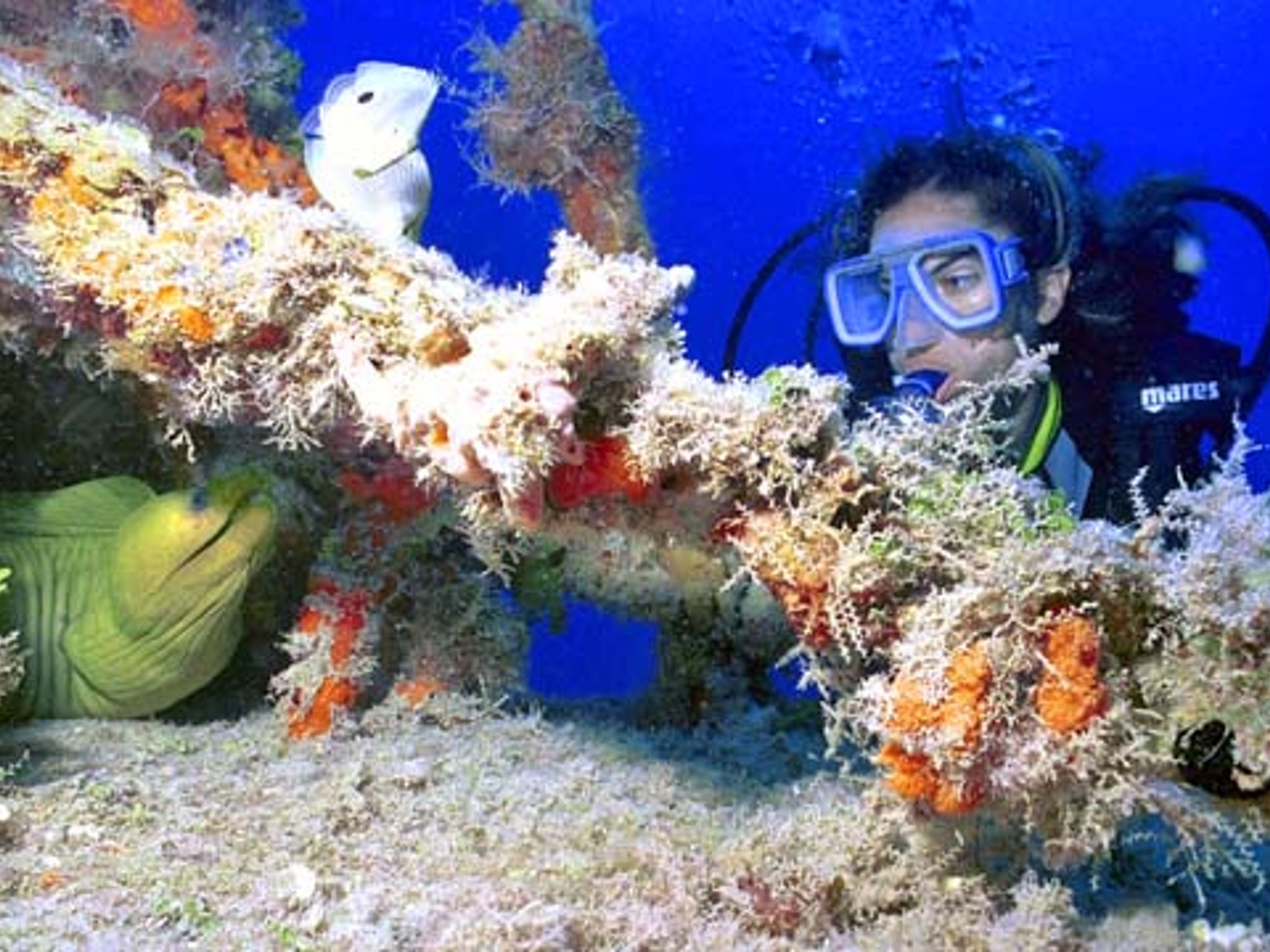 Excursion "Plongée à Cayo Levisa"