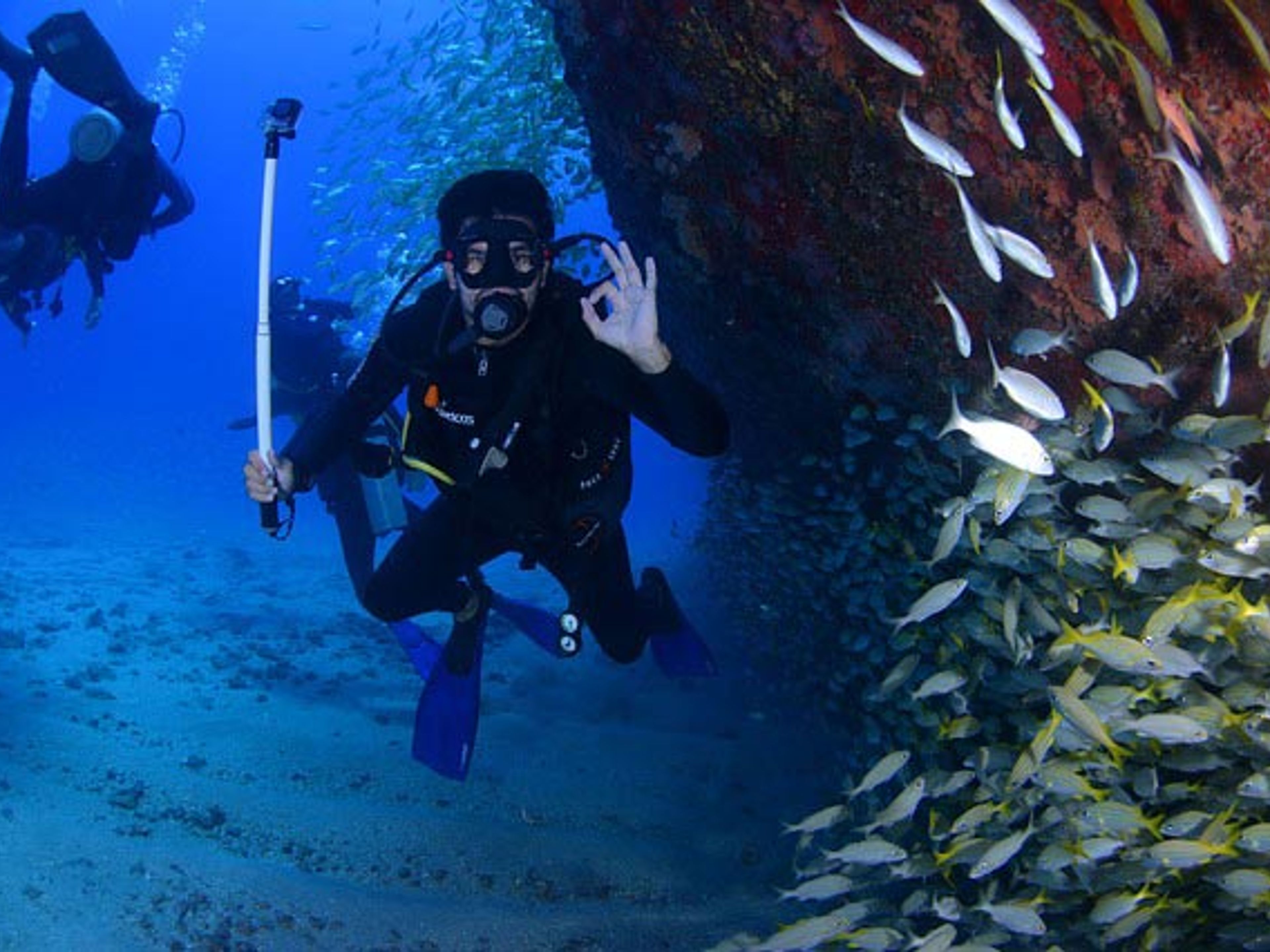 Excursion "Plongée à Cayo Levisa". "Diving in Cayo Levisa” Tour