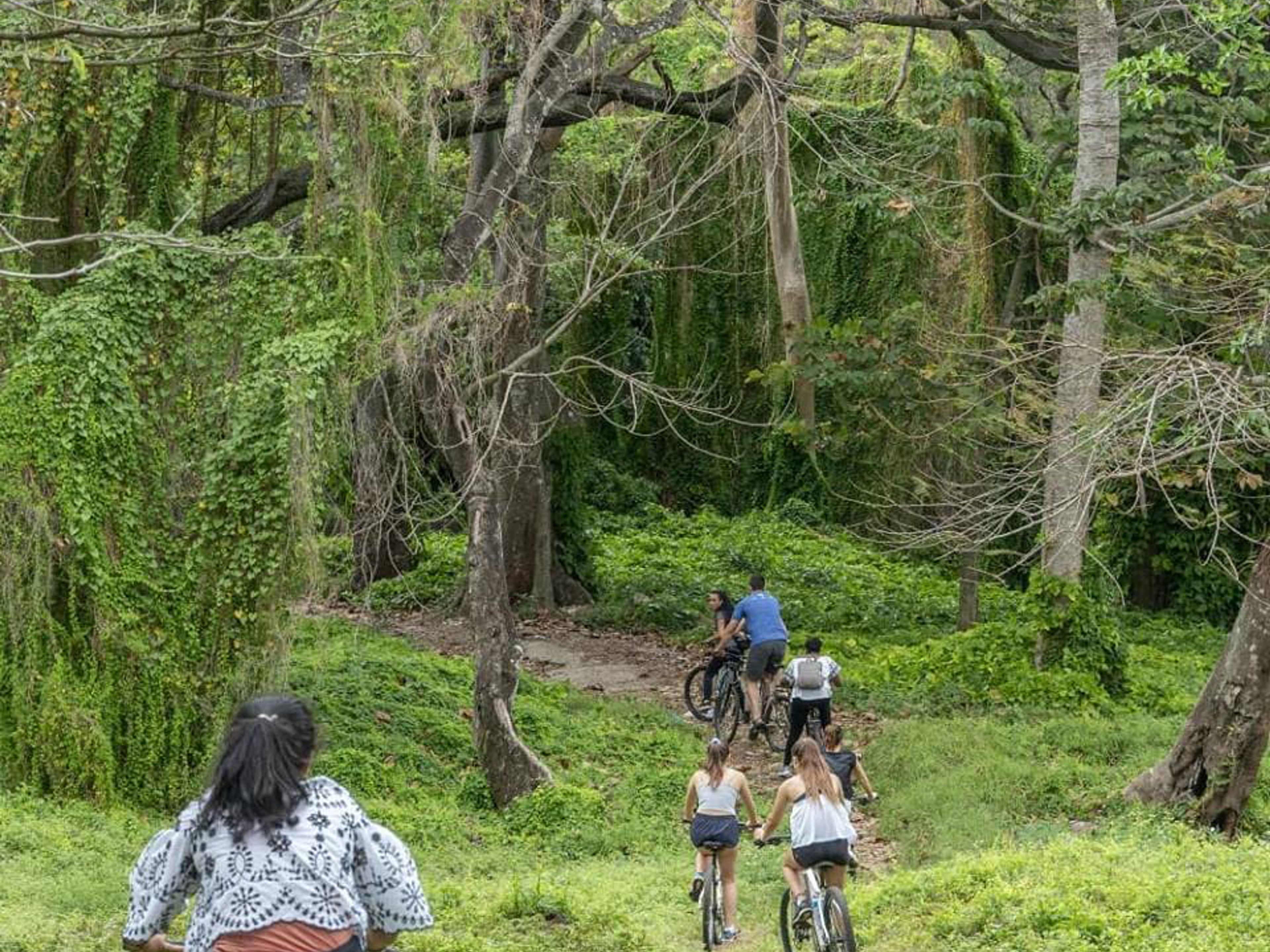 Fahrradtour "Der Zauberwald". The Almendares Park, Vedado, Havana, Cuba. "The Enchanted Forest" Bike Tour