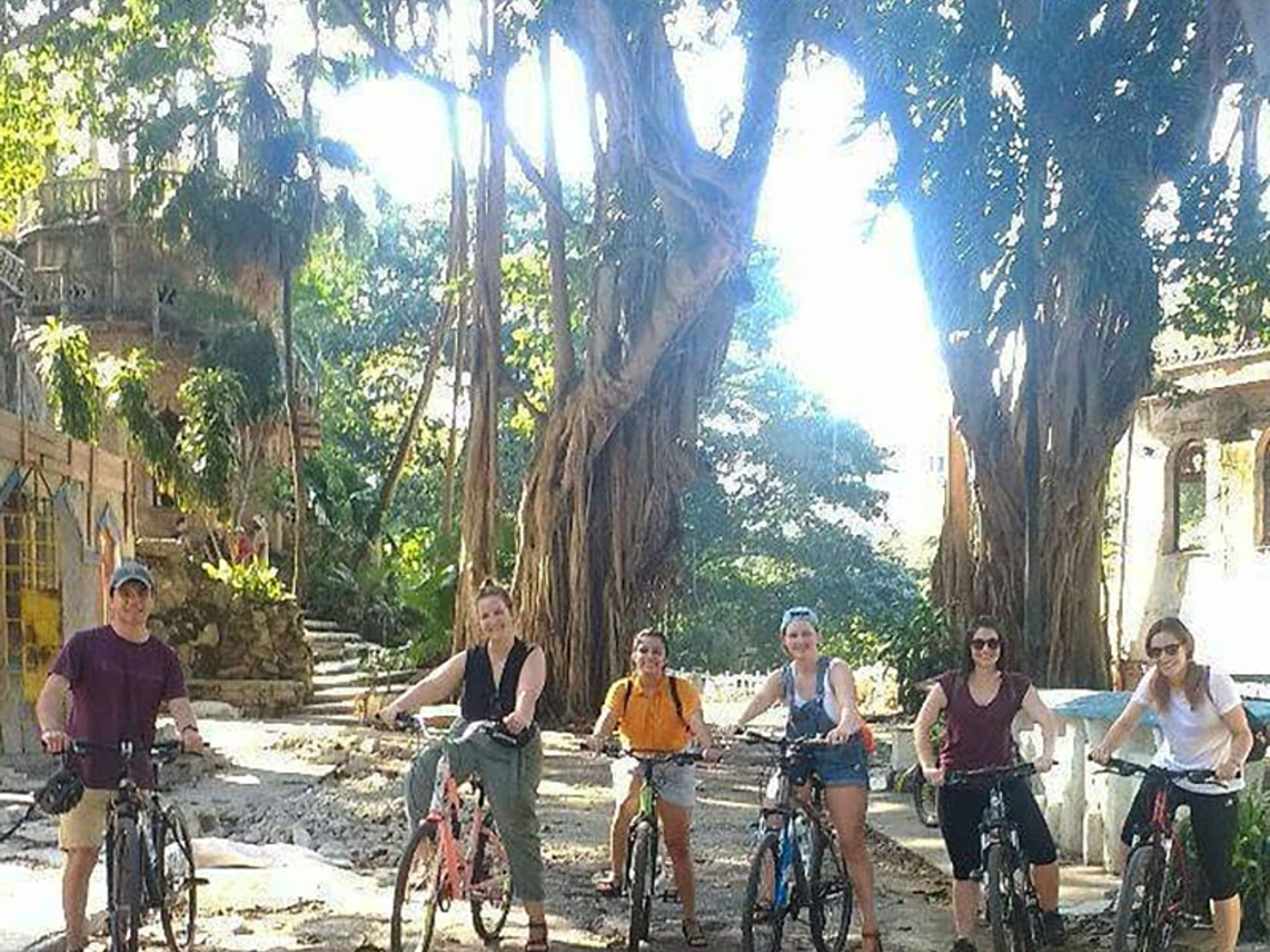 Fahrradtour "Der Zauberwald". The Almendares Park, Vedado, Havana, Cuba. "The Enchanted Forest" Bike Tour