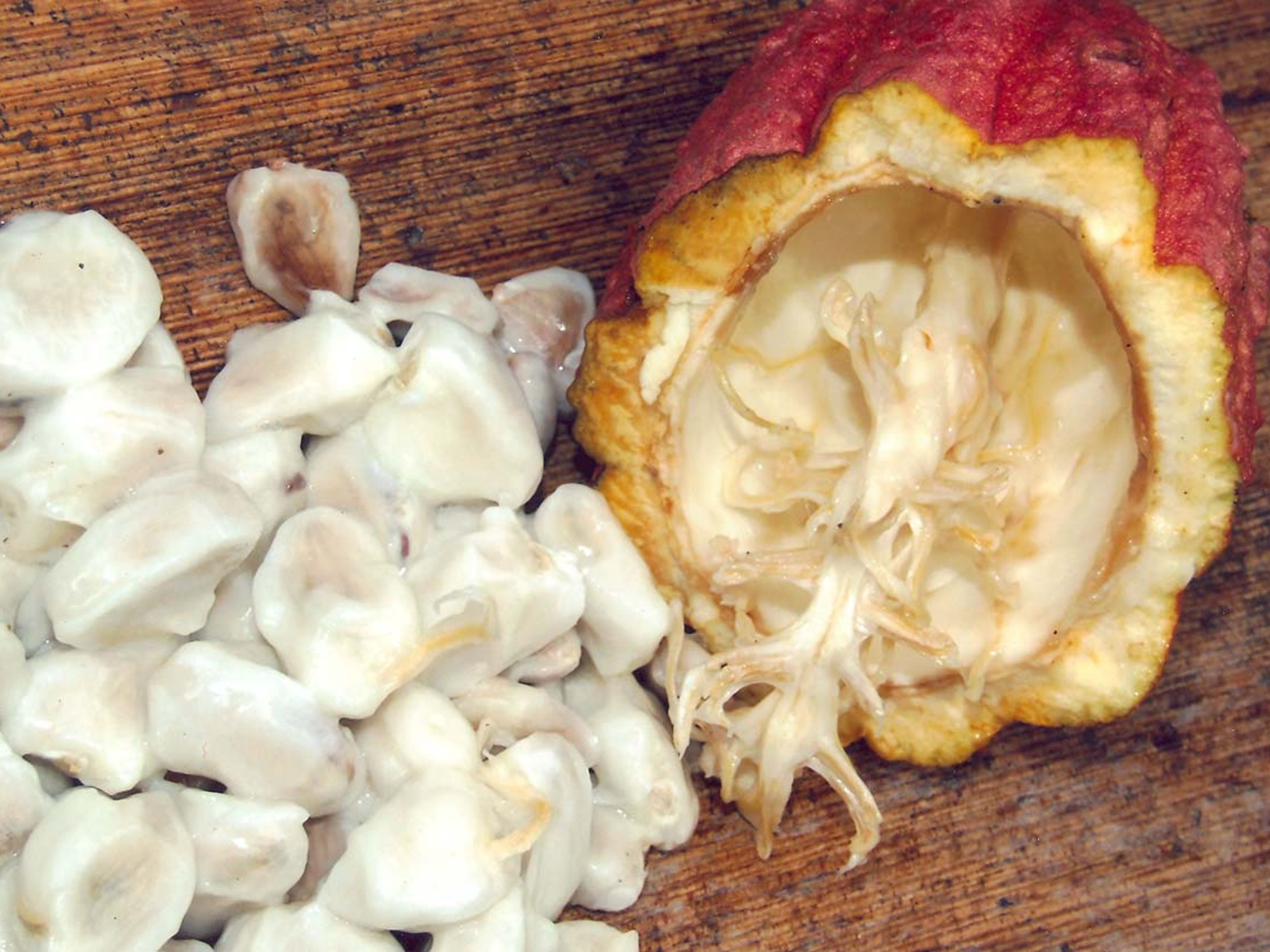 Tour di trekking "SENTIERO DEL CACAO - CASCATA DEL DUABA". The Cacao trail in Duaba farm, Baracoa