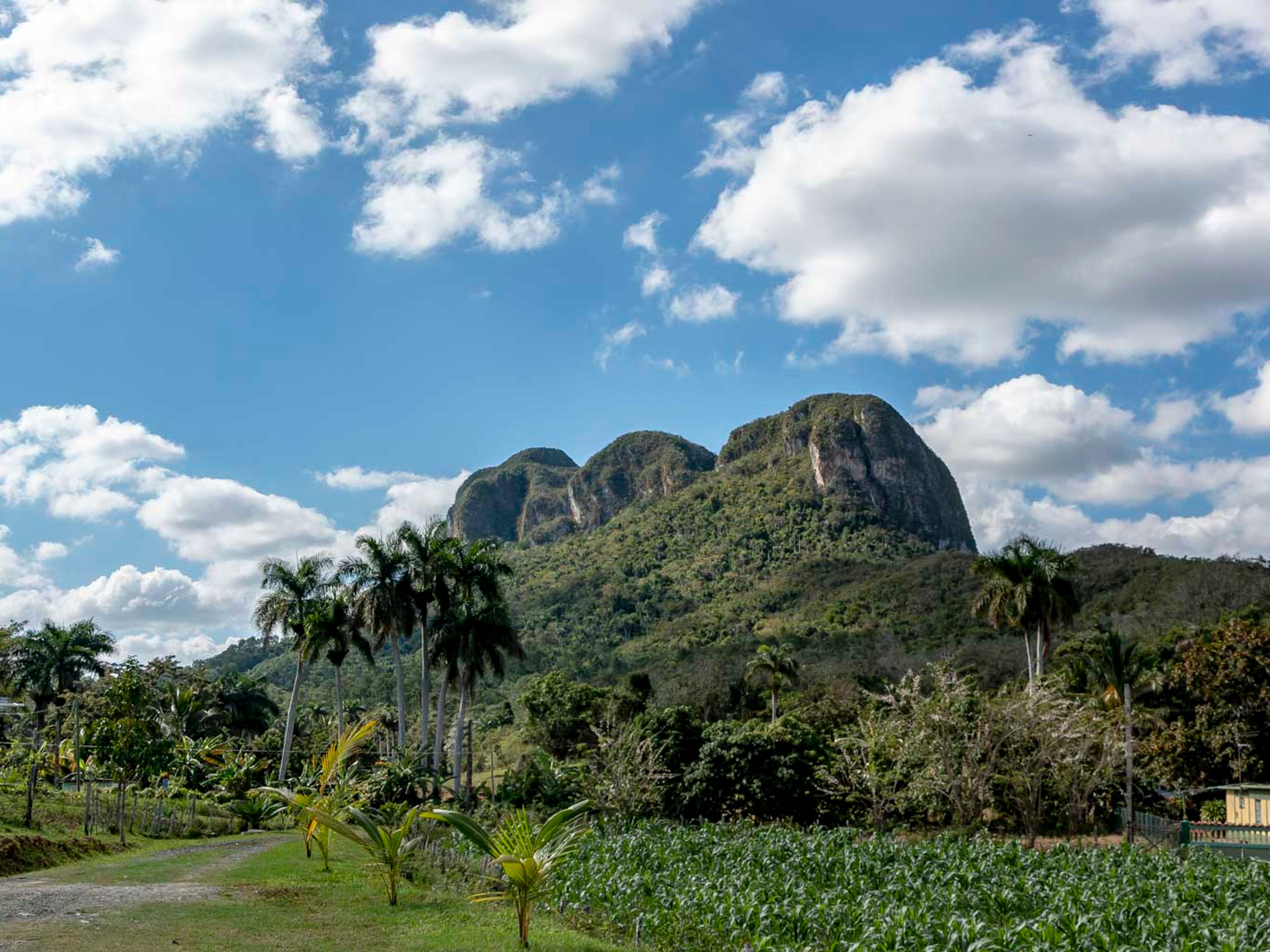Jeep Safari “VIÑALES - HABANA OVERNIGHT”. Viñales Valley panoramic view, Viñales, Pinar del Río, Cuba.