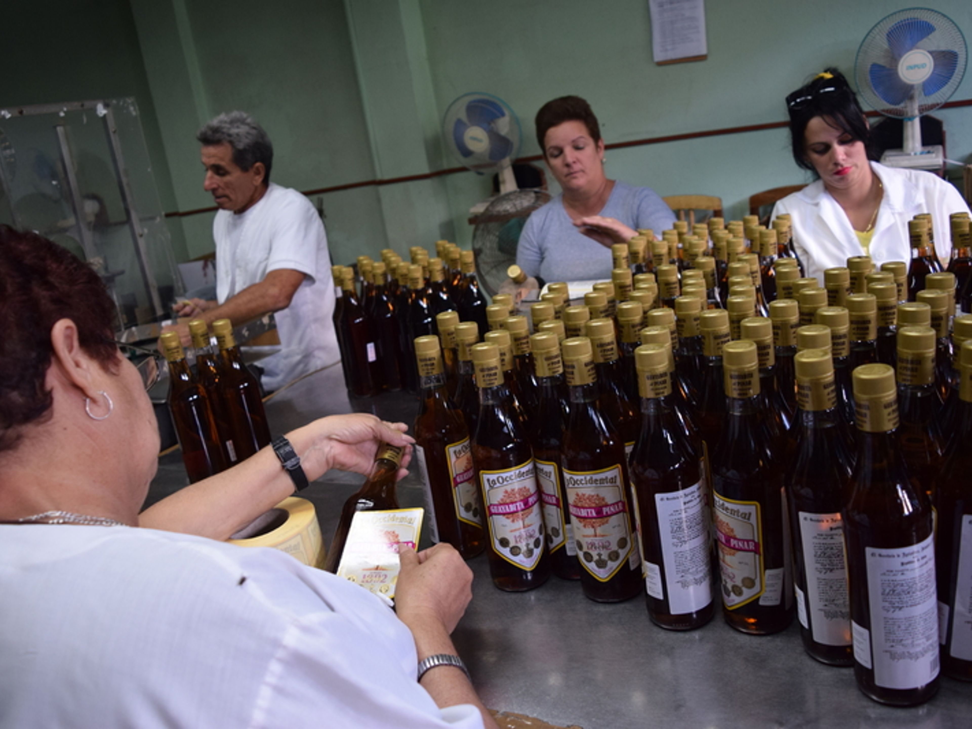 "Pinar del Río + Viñales" Tour. The Guayabita del Pinar liquor factory, Pinar del Río
