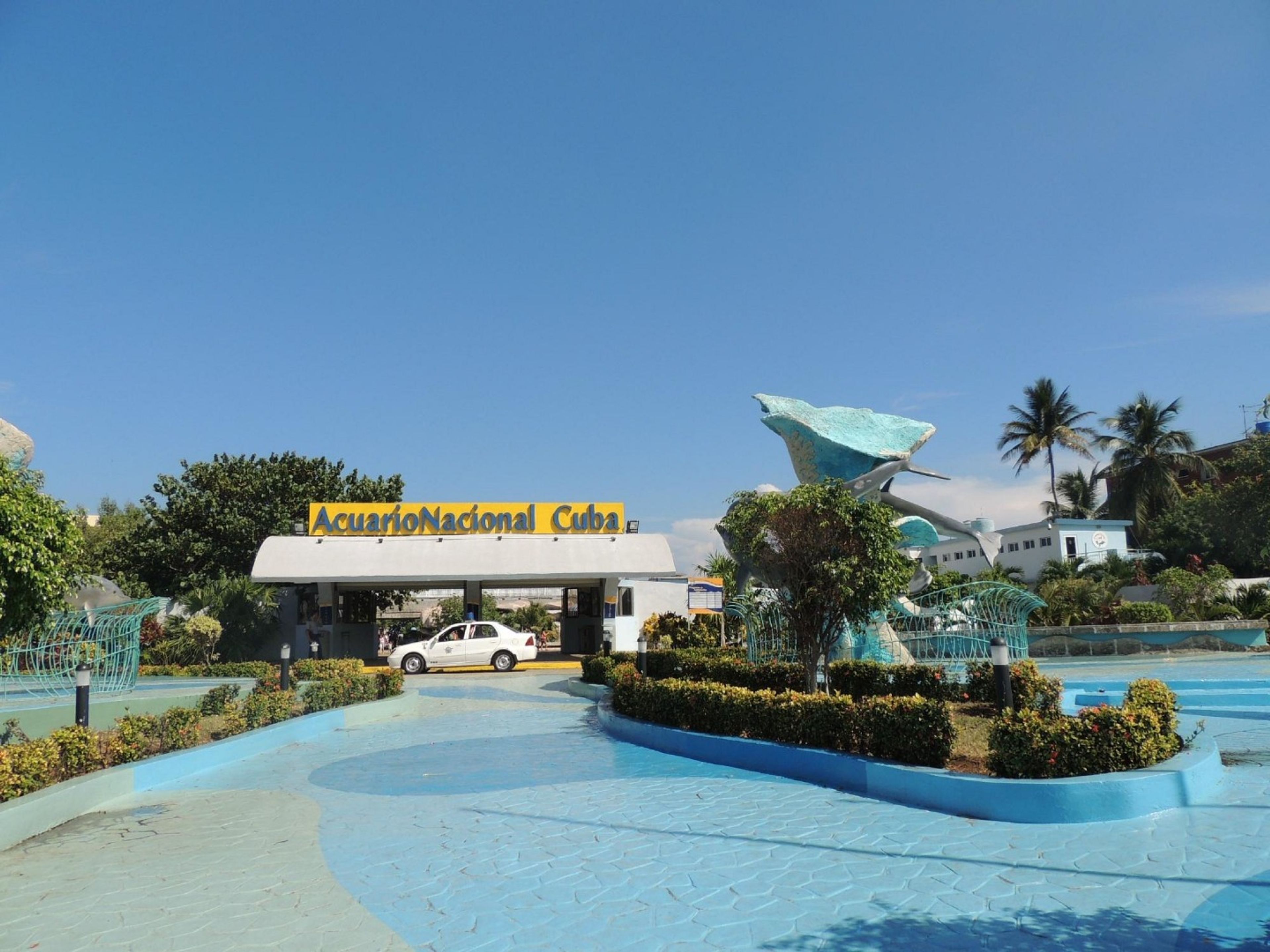 Excursión “VISITA AL ACUARIO NACIONAL DE CUBA”. The National Aquarium of Cuba, Havana, Cuba.