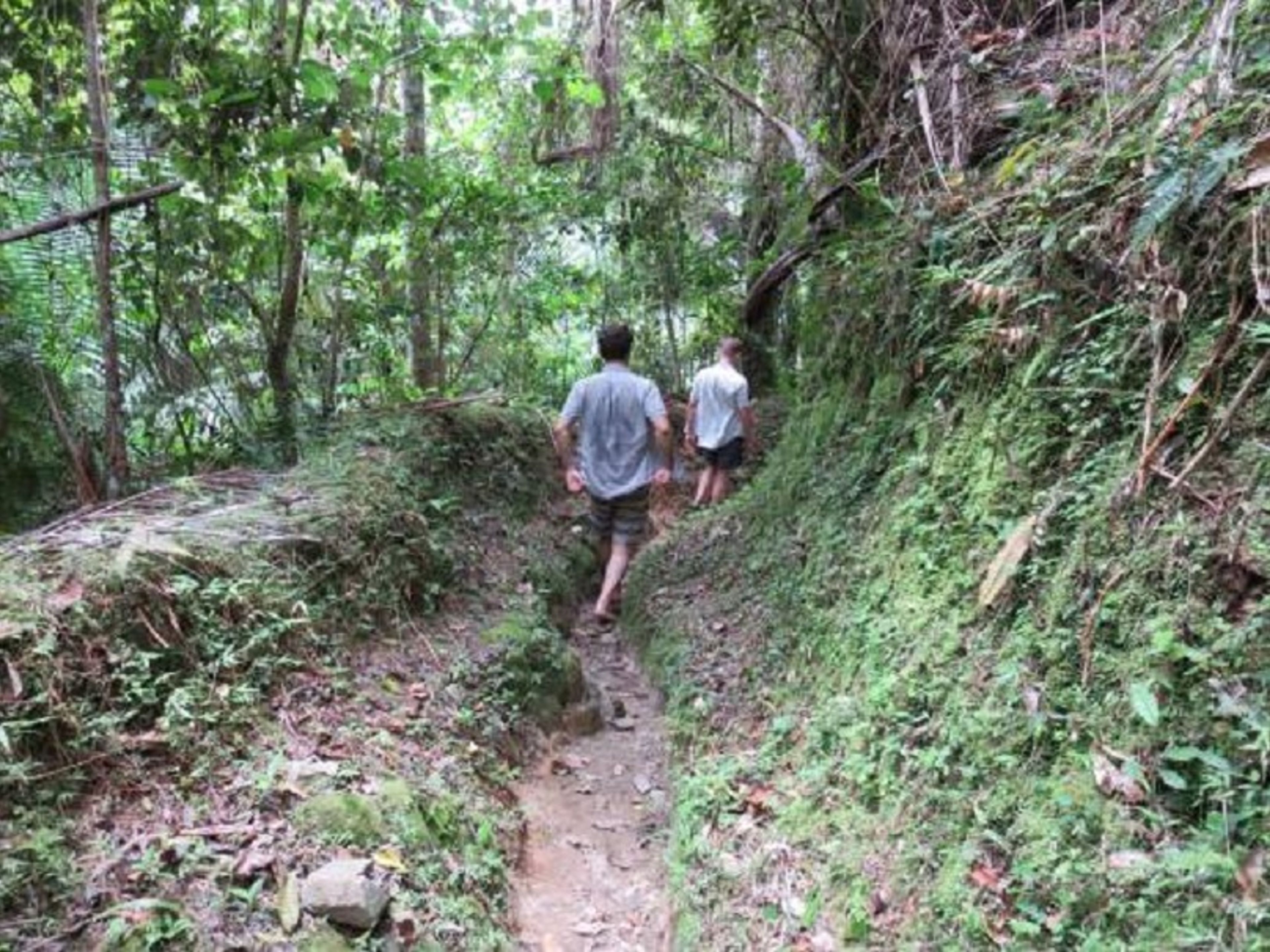 “COMANDANCIA GENERAL DE LA PLATA (VON SANTO DOMINGO)“ Trekking Tour (1 Tag). Trekking tour in the Turquino National Park, Granma, Cuba.