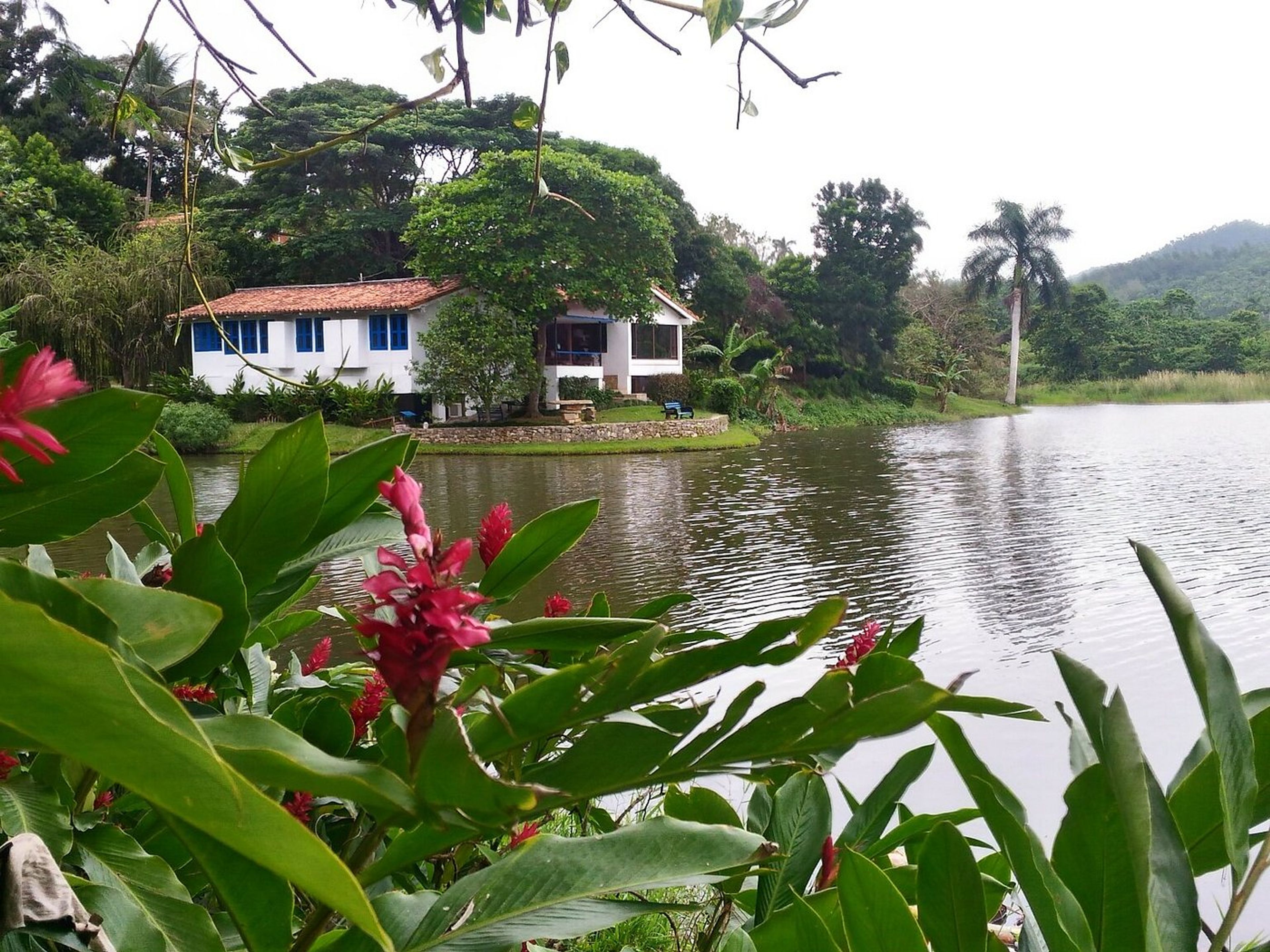 "FOLLOWING IN THE FOOTSTEPS OF THE MAMBÍ" Tour. Las Terrazas comunity, Artemisa, Cuba.