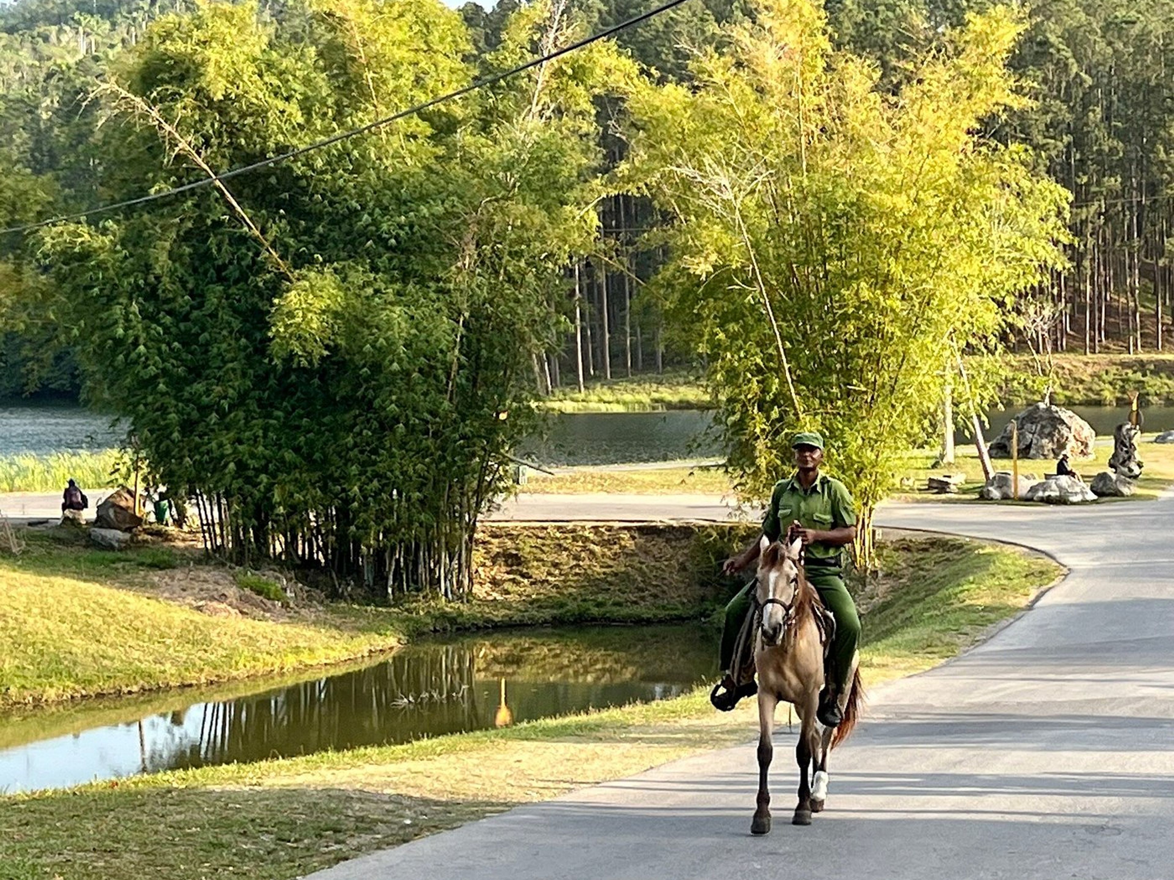 "FOLLOWING IN THE FOOTSTEPS OF THE MAMBÍ" Tour. Las Terrazas comunity, Artemisa, Cuba.