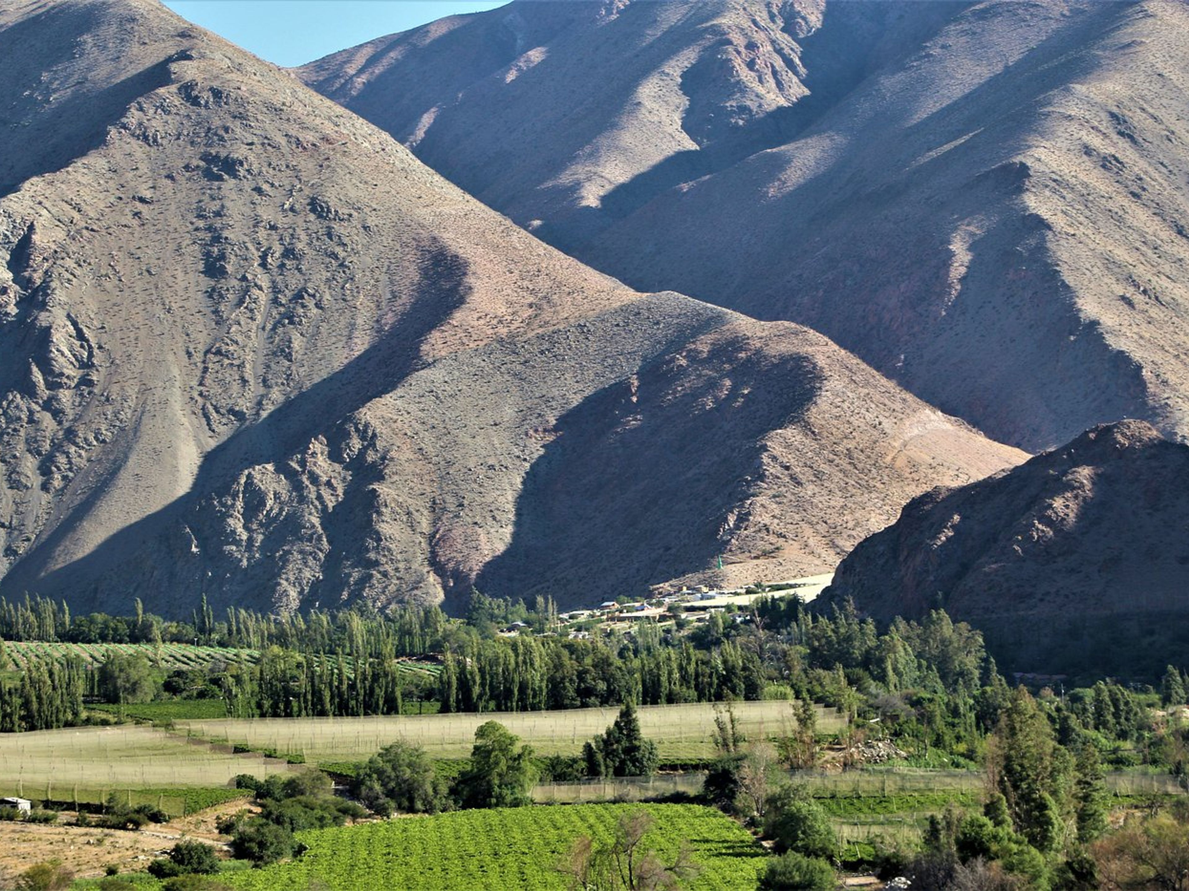 ”ELQUI VALLEY, HOME OF GABRIELA MISTRAL” Tour. ”ELQUI VALLEY, HOME OF GABRIELA MISTRAL” Tour, Chile.