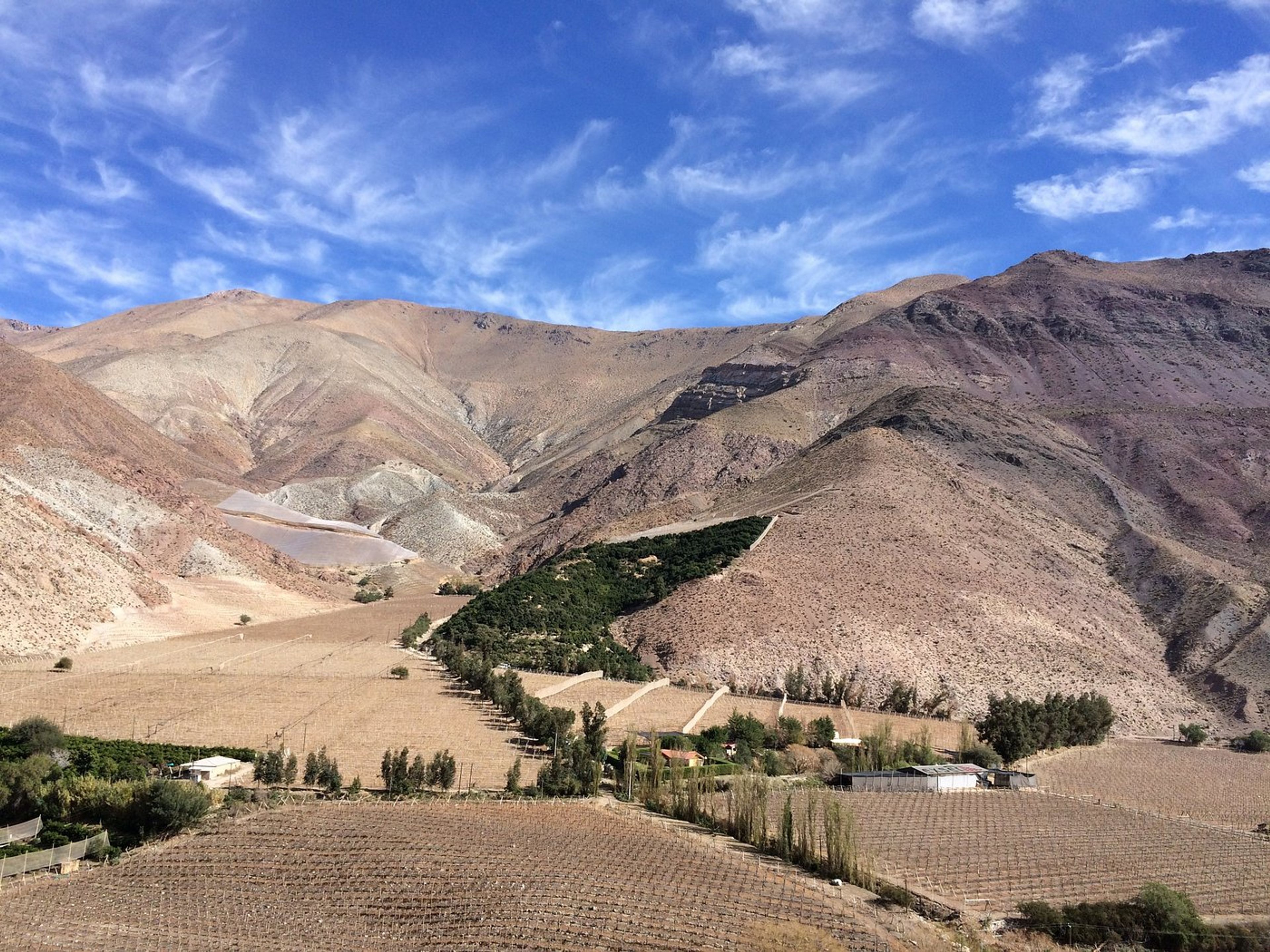 Excursão “VALE DO ELQUI, PATRIA DE GABRIELA MISTRAL”. ”ELQUI VALLEY, HOME OF GABRIELA MISTRAL” Tour, Chile.