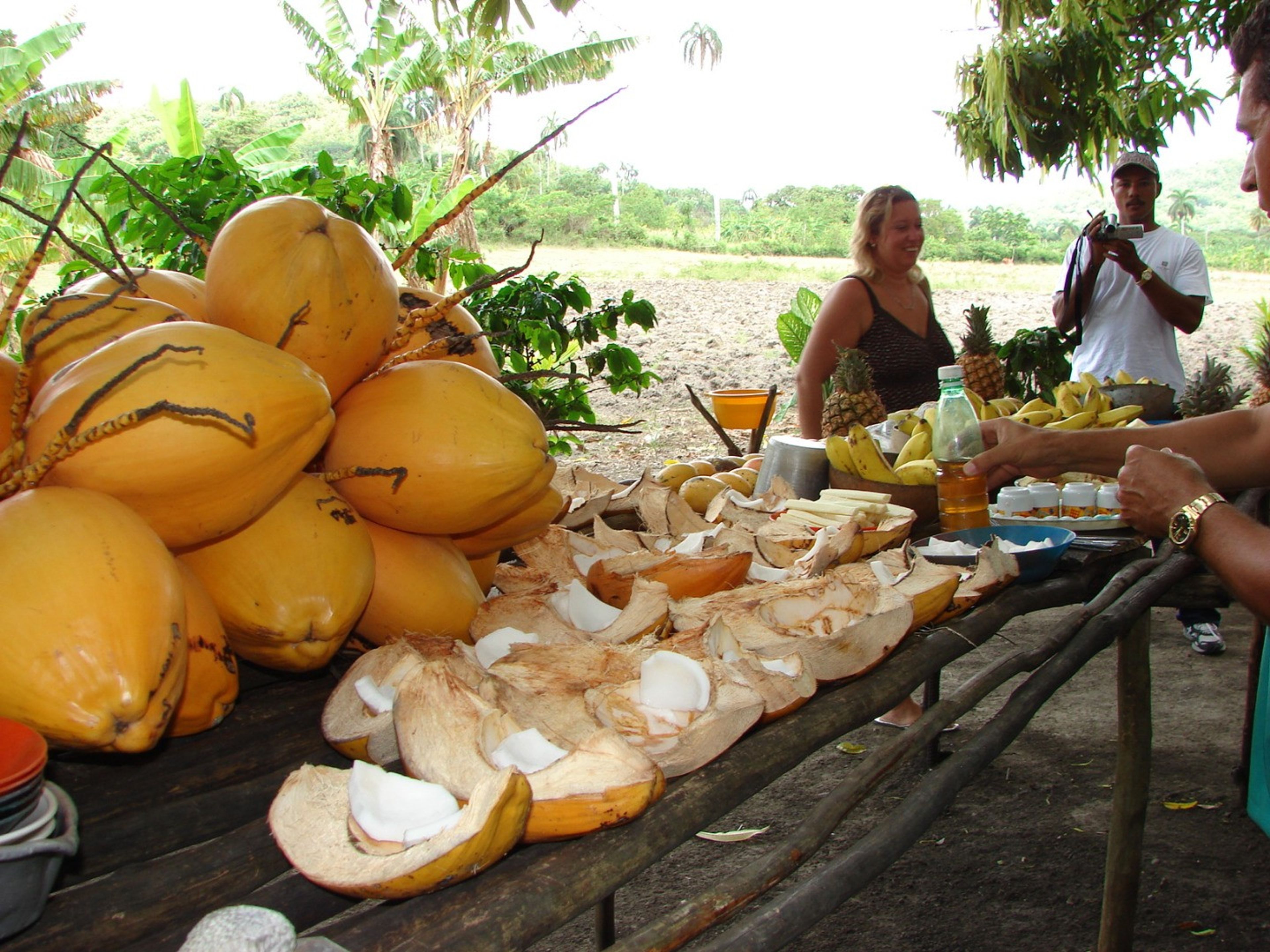 Jeep Safari "CUBA CAMPESINA, FINCA ALCALÁ". Typical cuban lunch at the Alcalá farm, Holguín