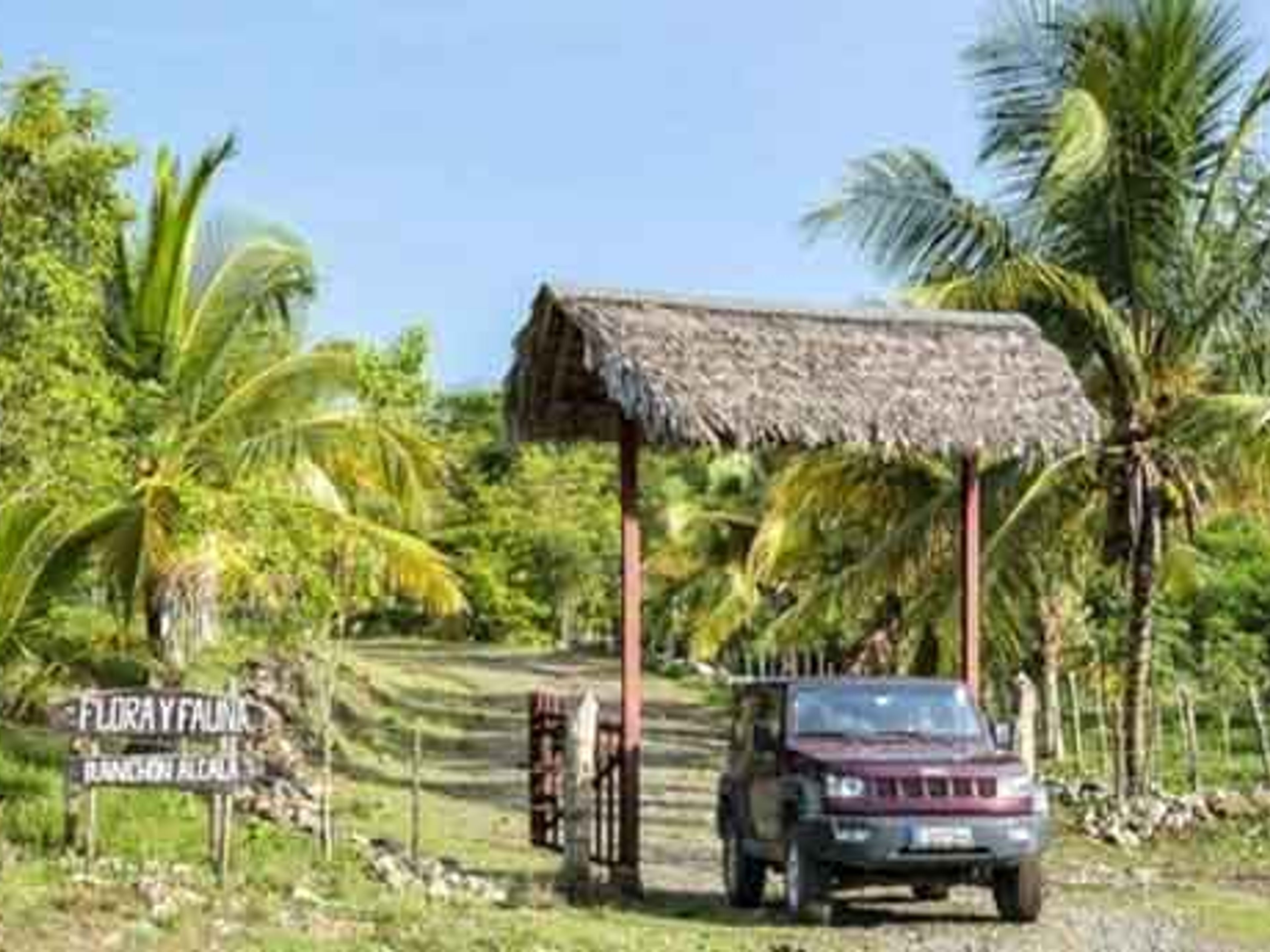 Jeep Safari "CUBA CAMPESINA, FINCA ALCALÁ"